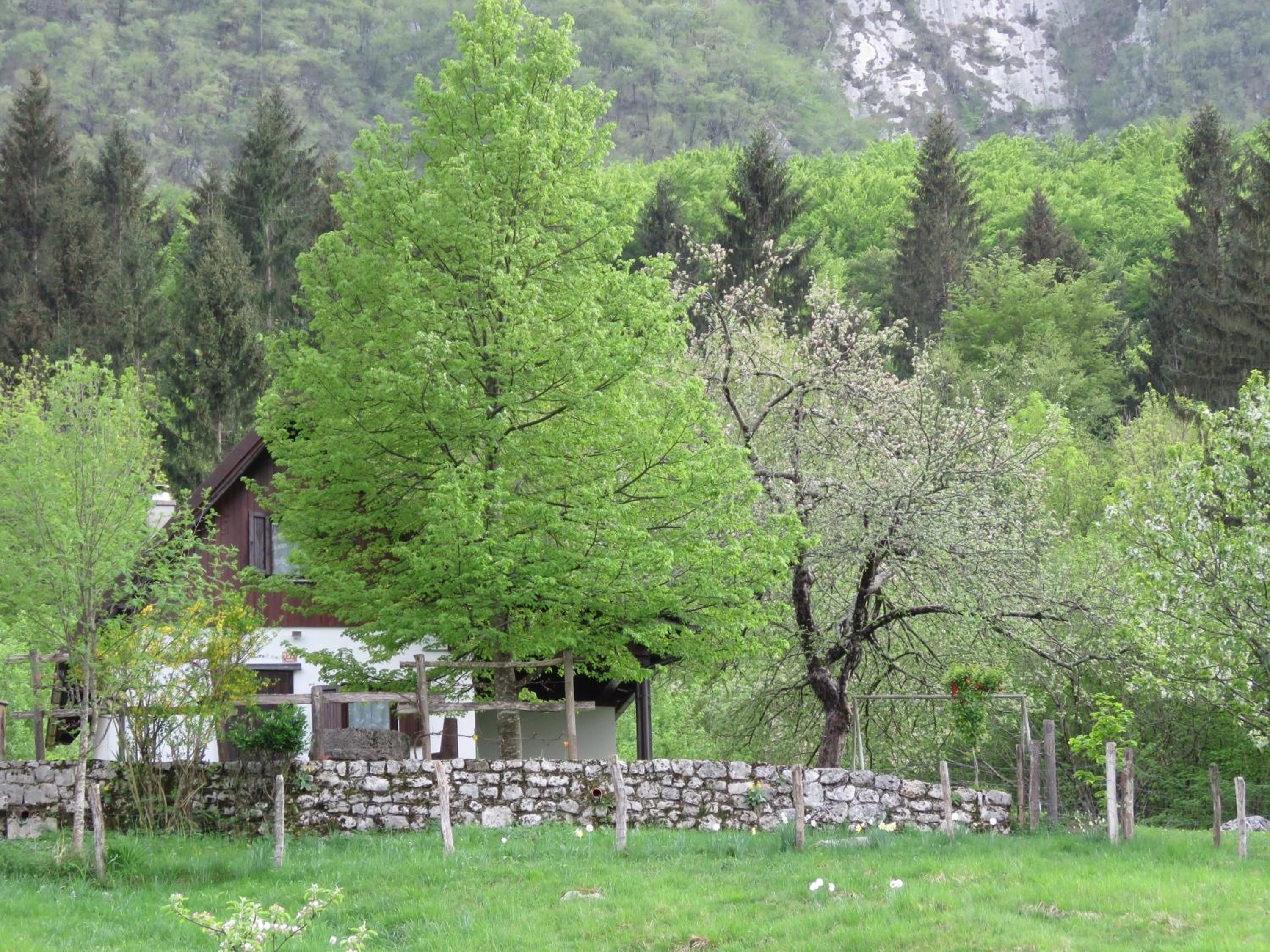 Photo 15