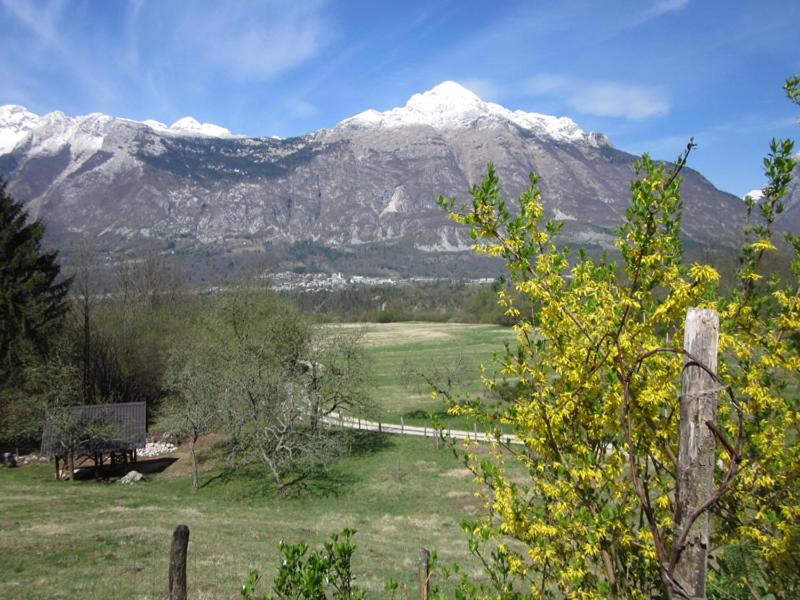 Počitniška hiška Jager Čezsoča view 3