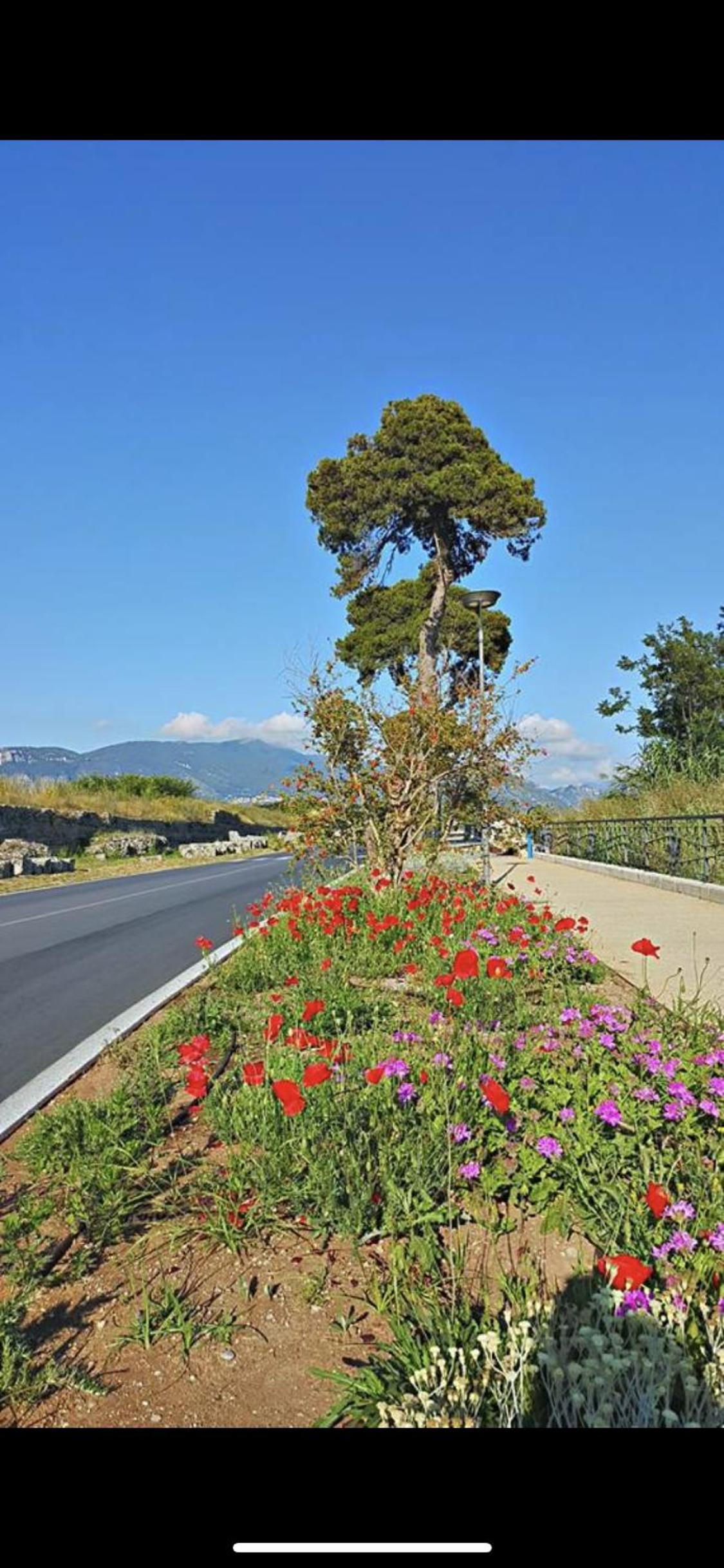 Villa Donatella view 5