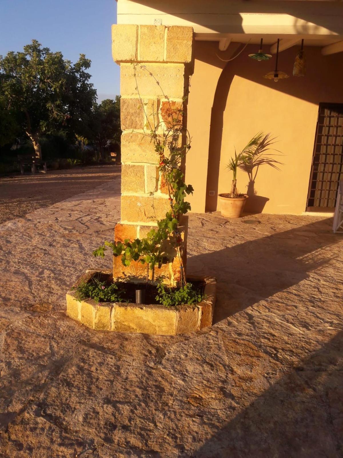 Masseria Mattiani, photo 41