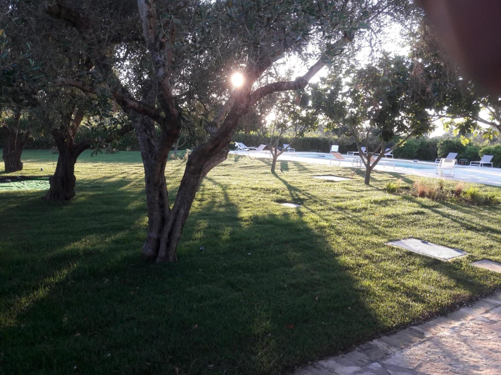 Masseria Mattiani, photo 64
