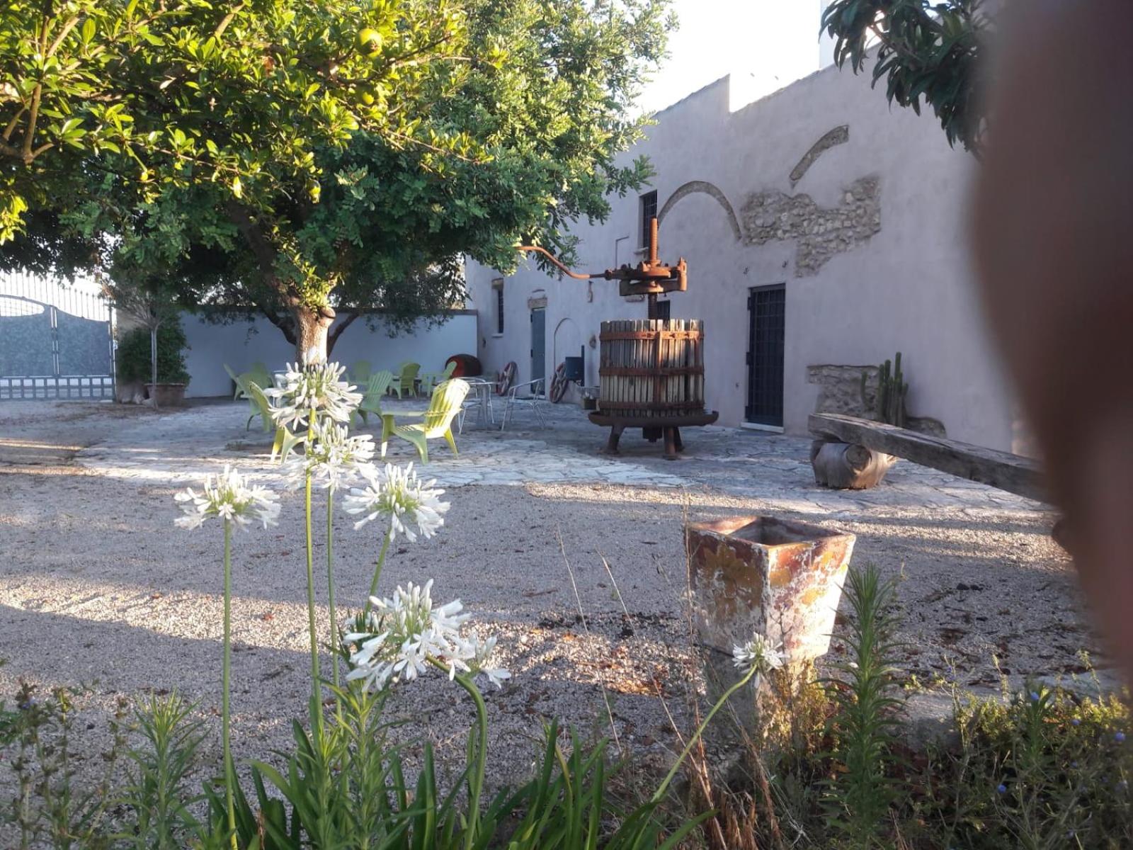 Masseria Mattiani, photo 84