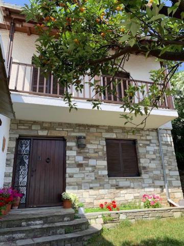 Panagopoulos House view 5