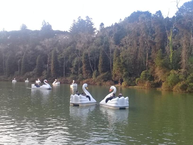 Suíte Lago Negro