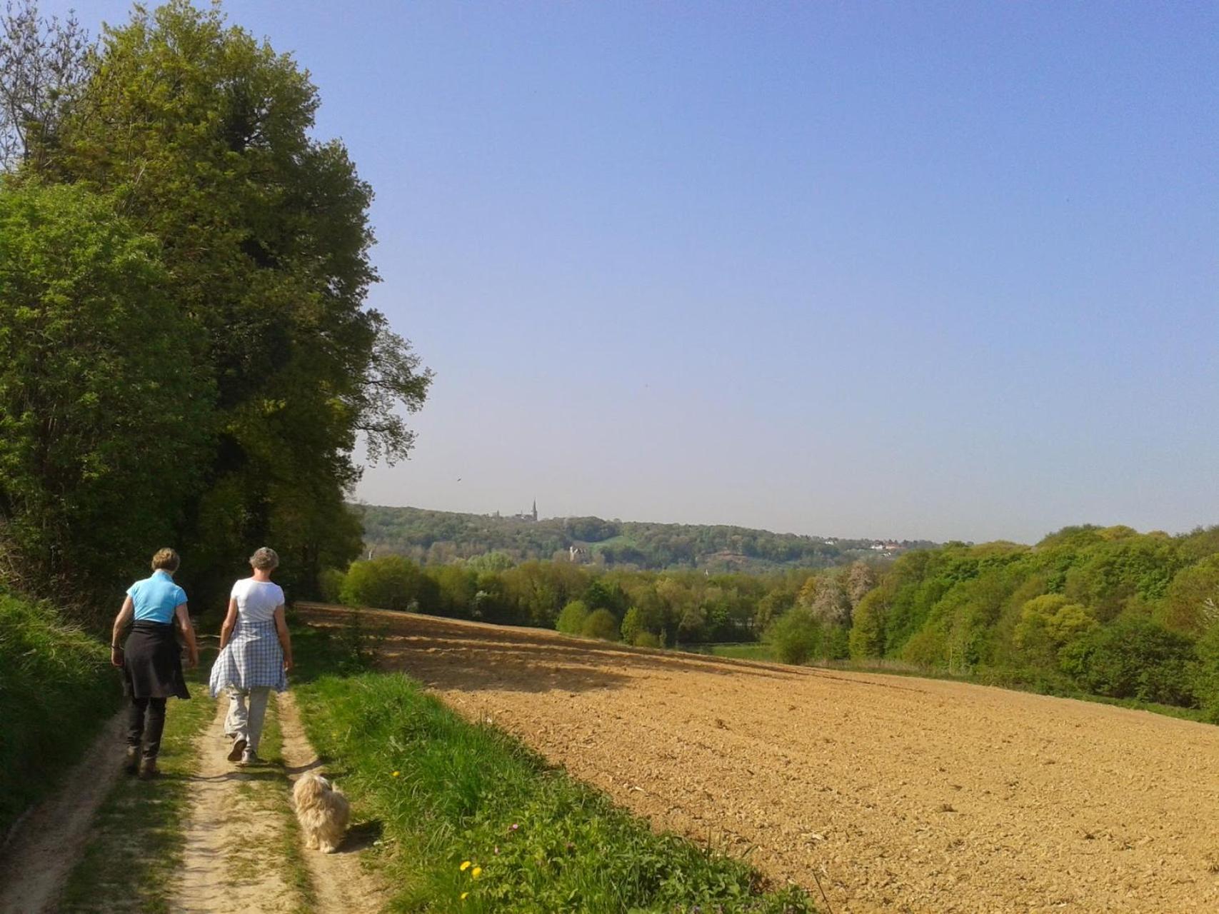 Photo 40
