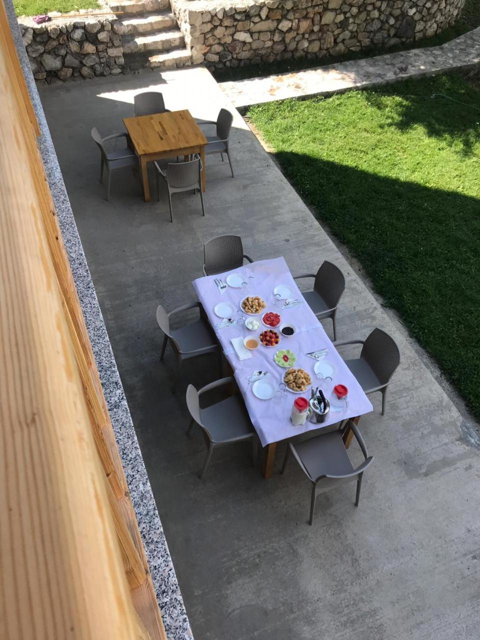 Bujtina Ziçi