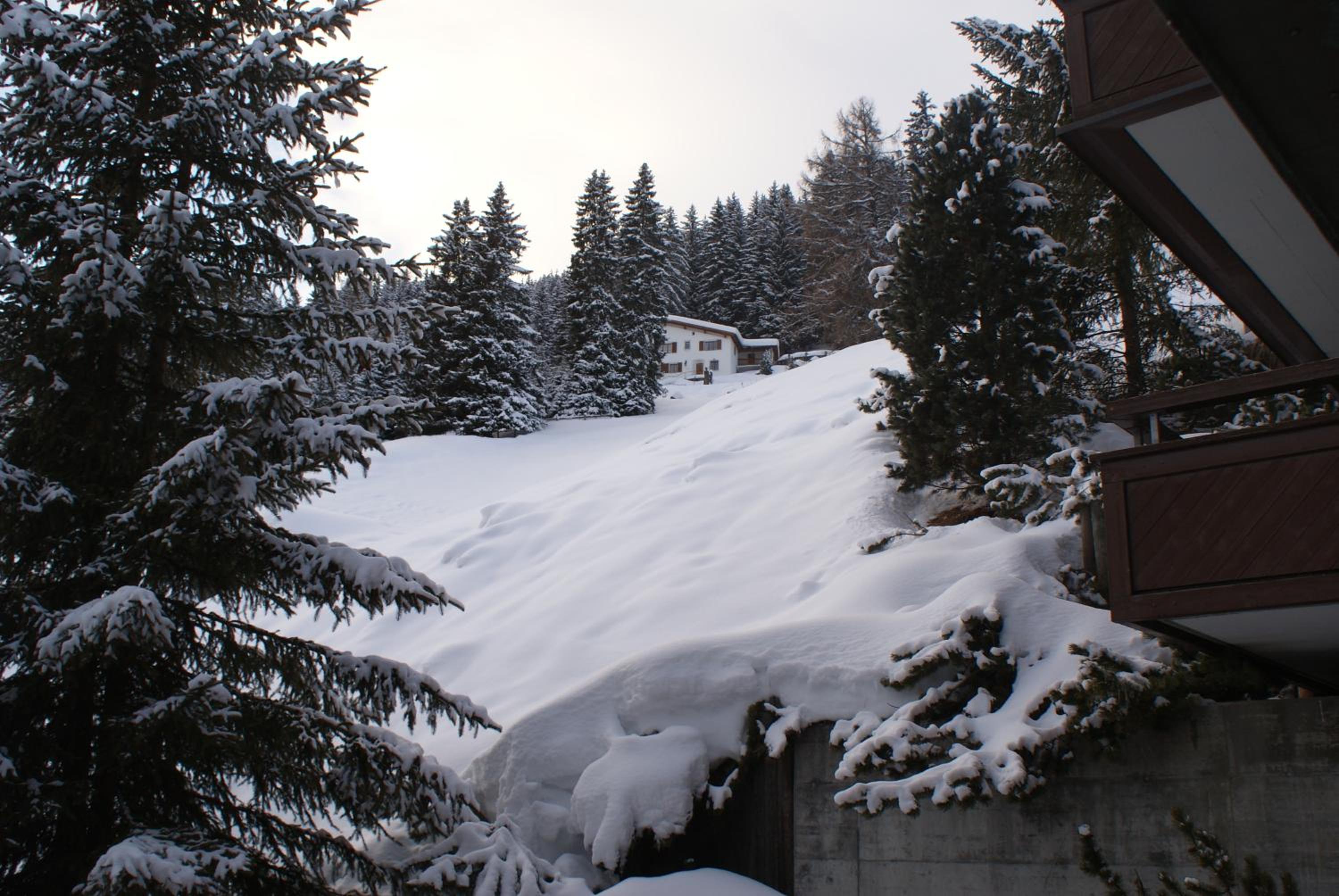 Des Alpes view 5