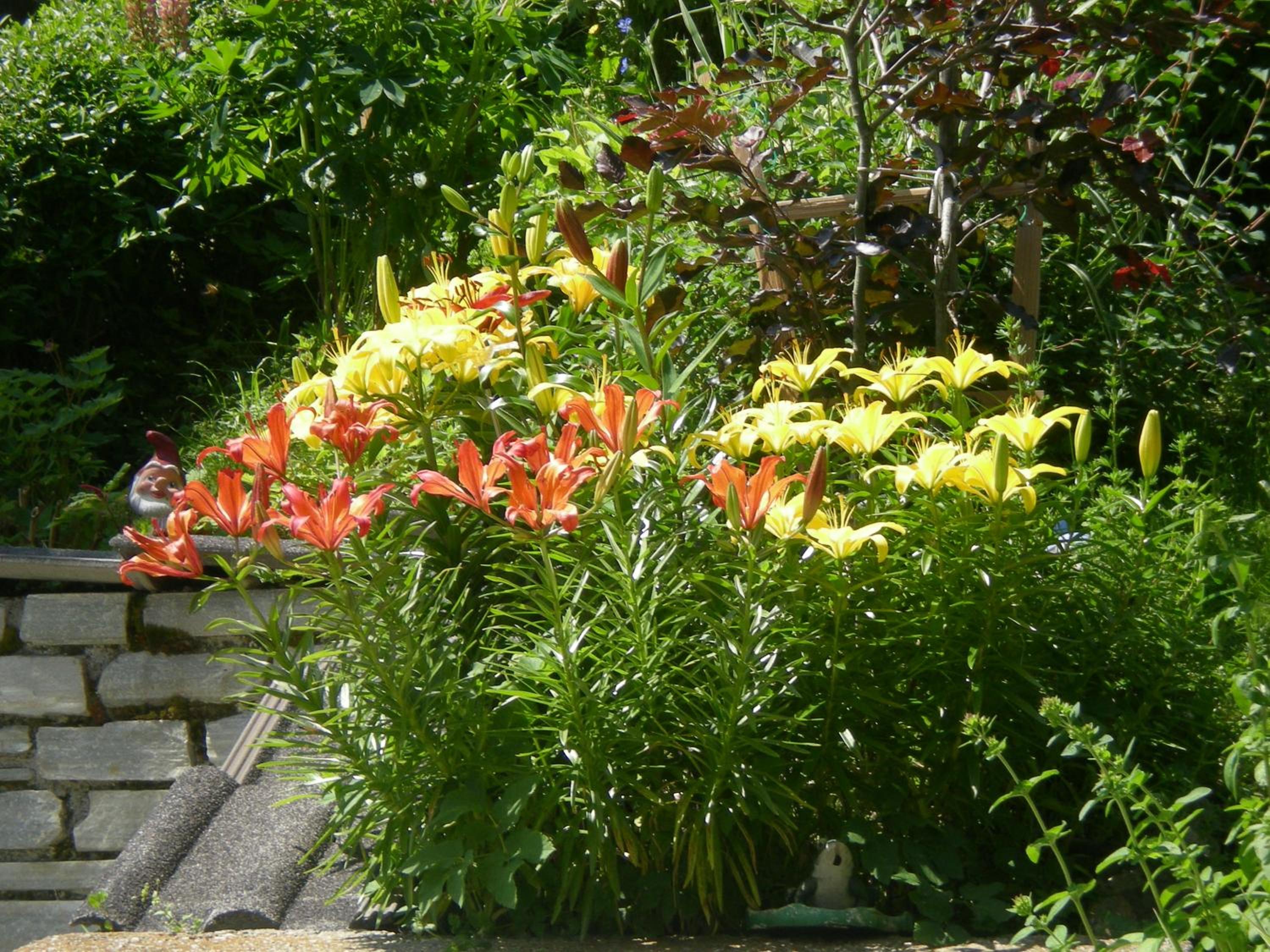 Photo 45