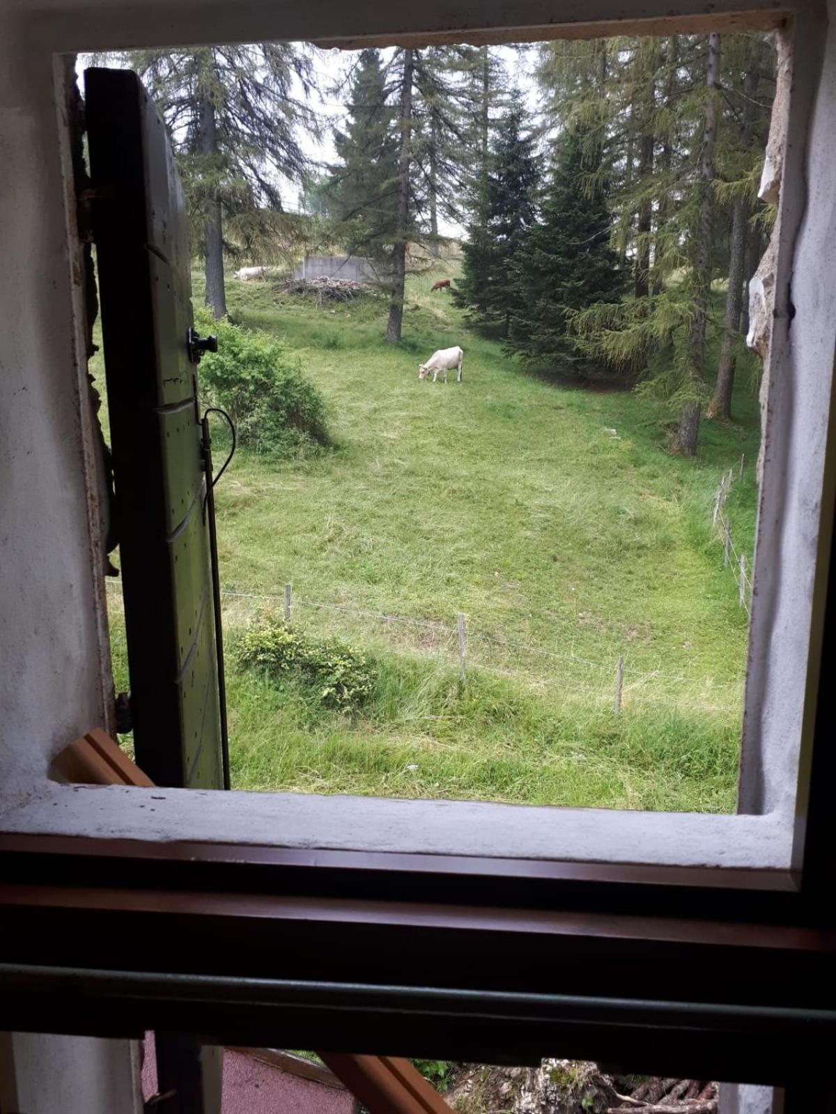 BAITO DELLE COSTE view 2