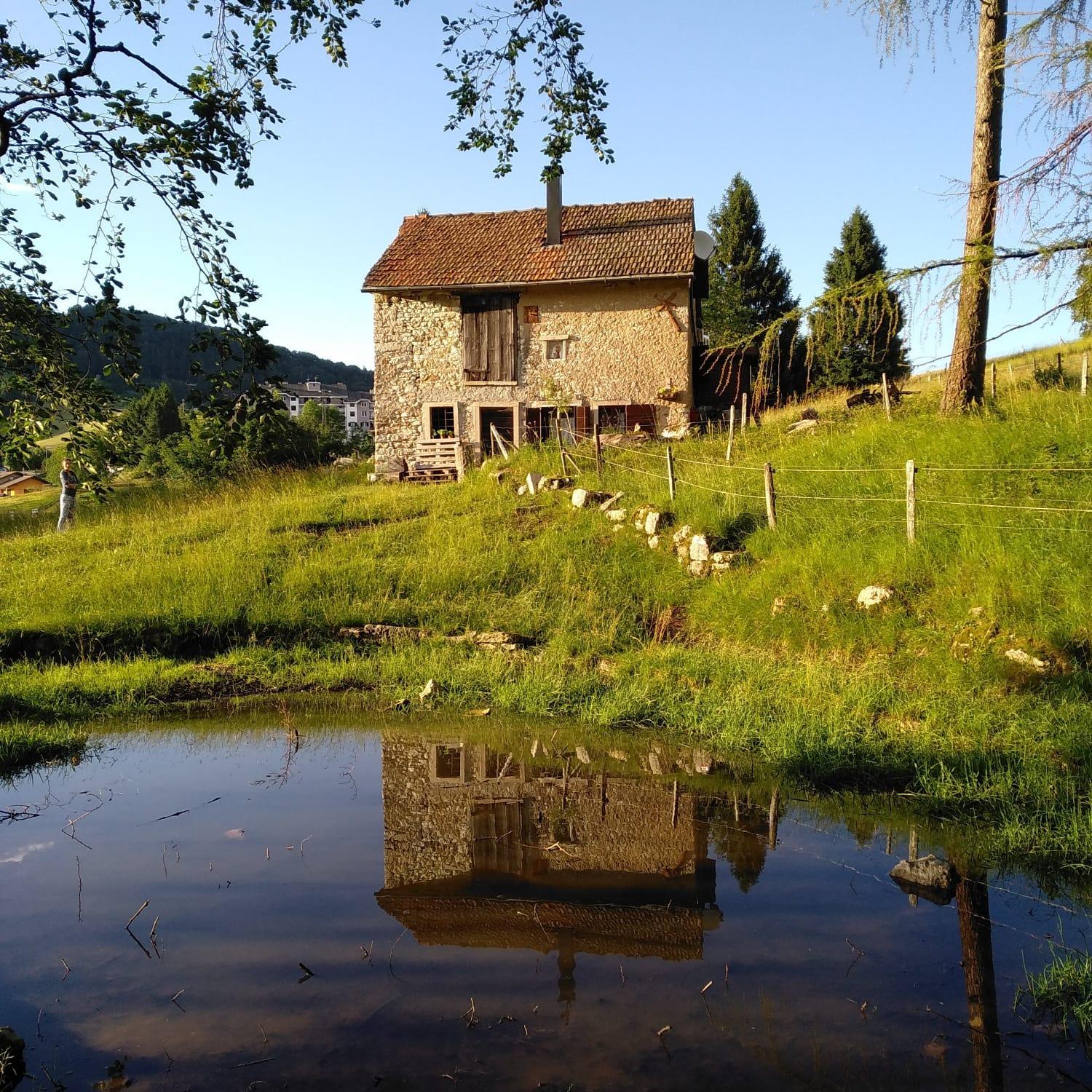 Photo 6