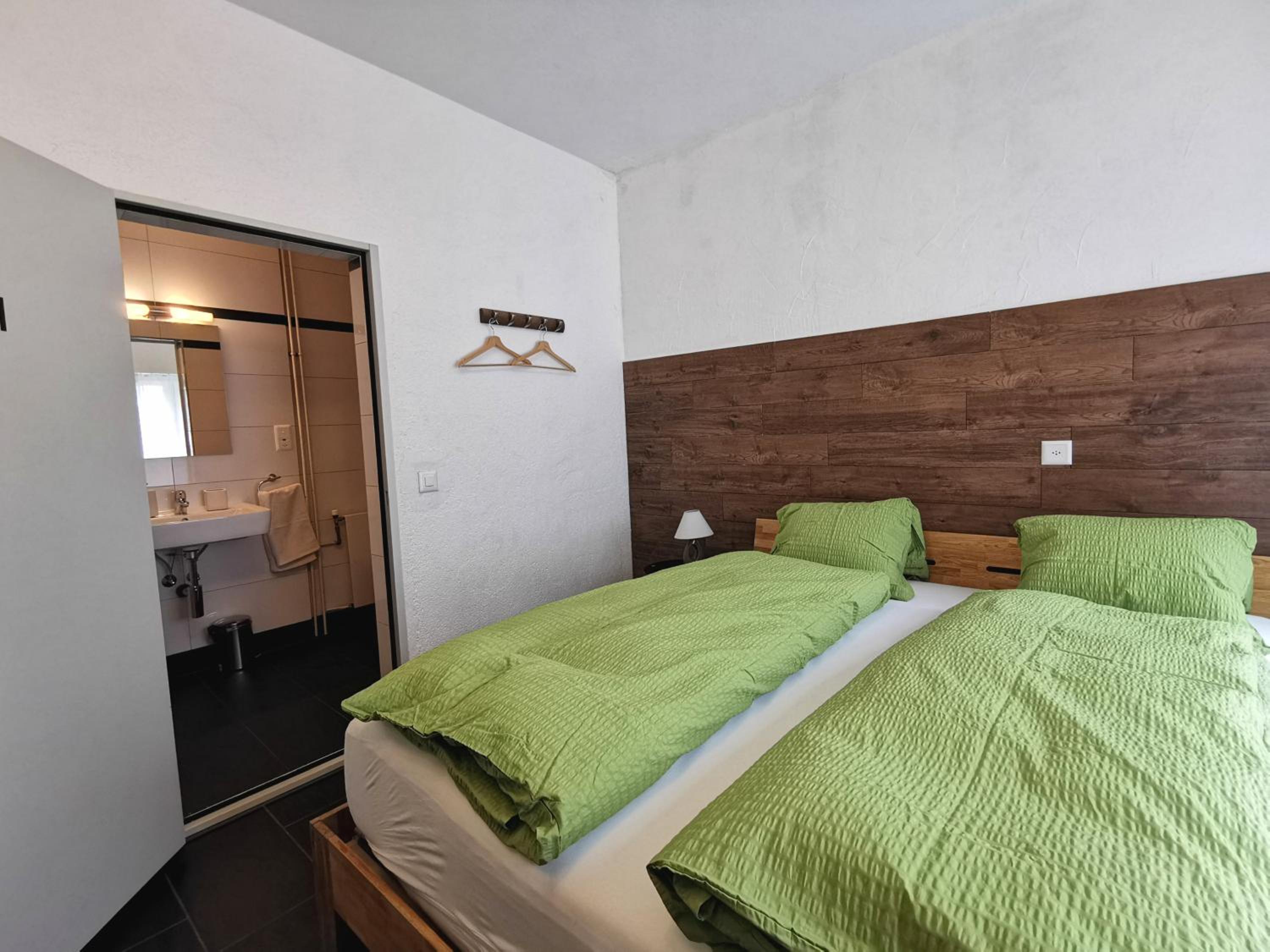 Apartments Steinbock