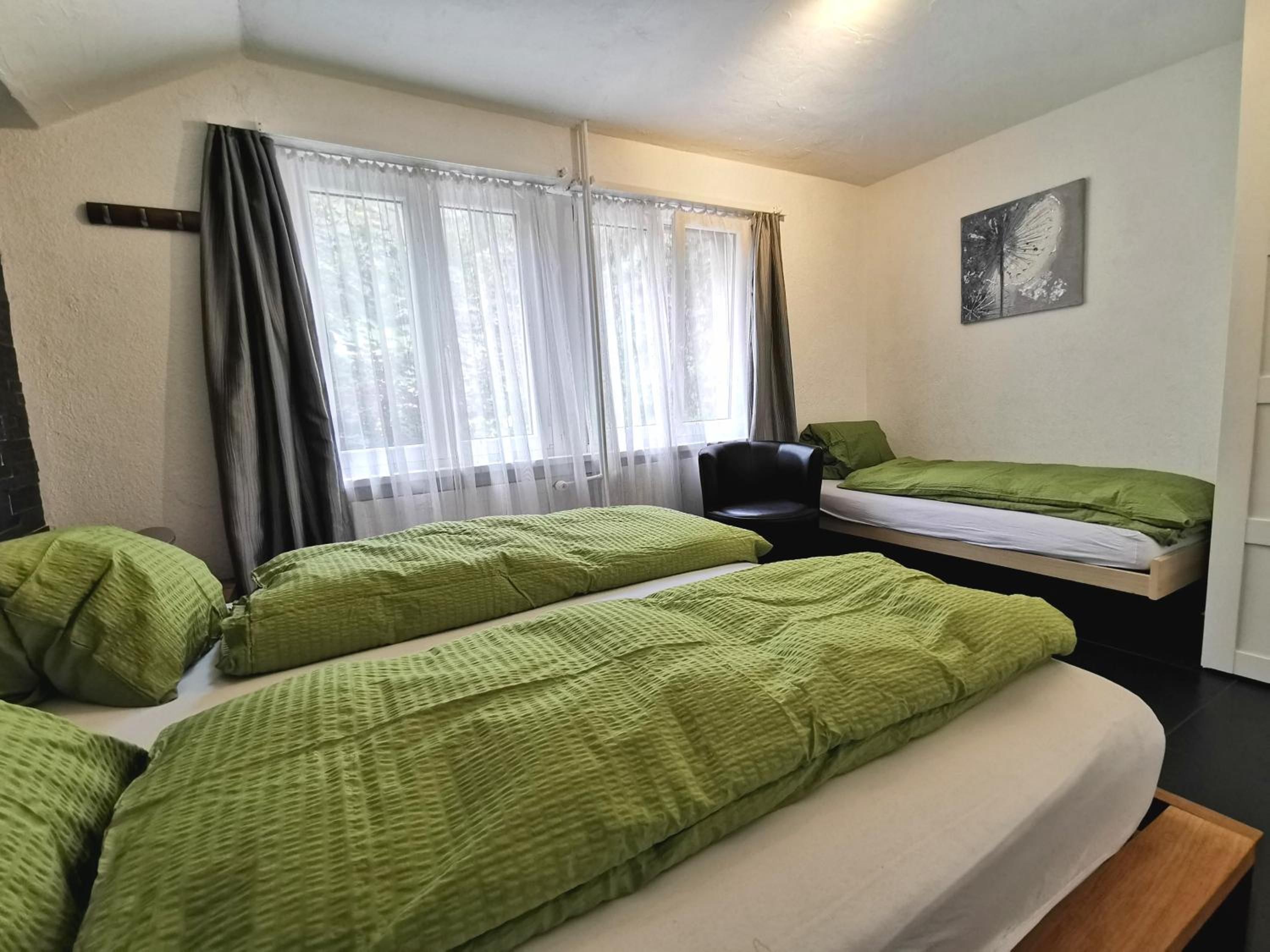 Apartments Steinbock