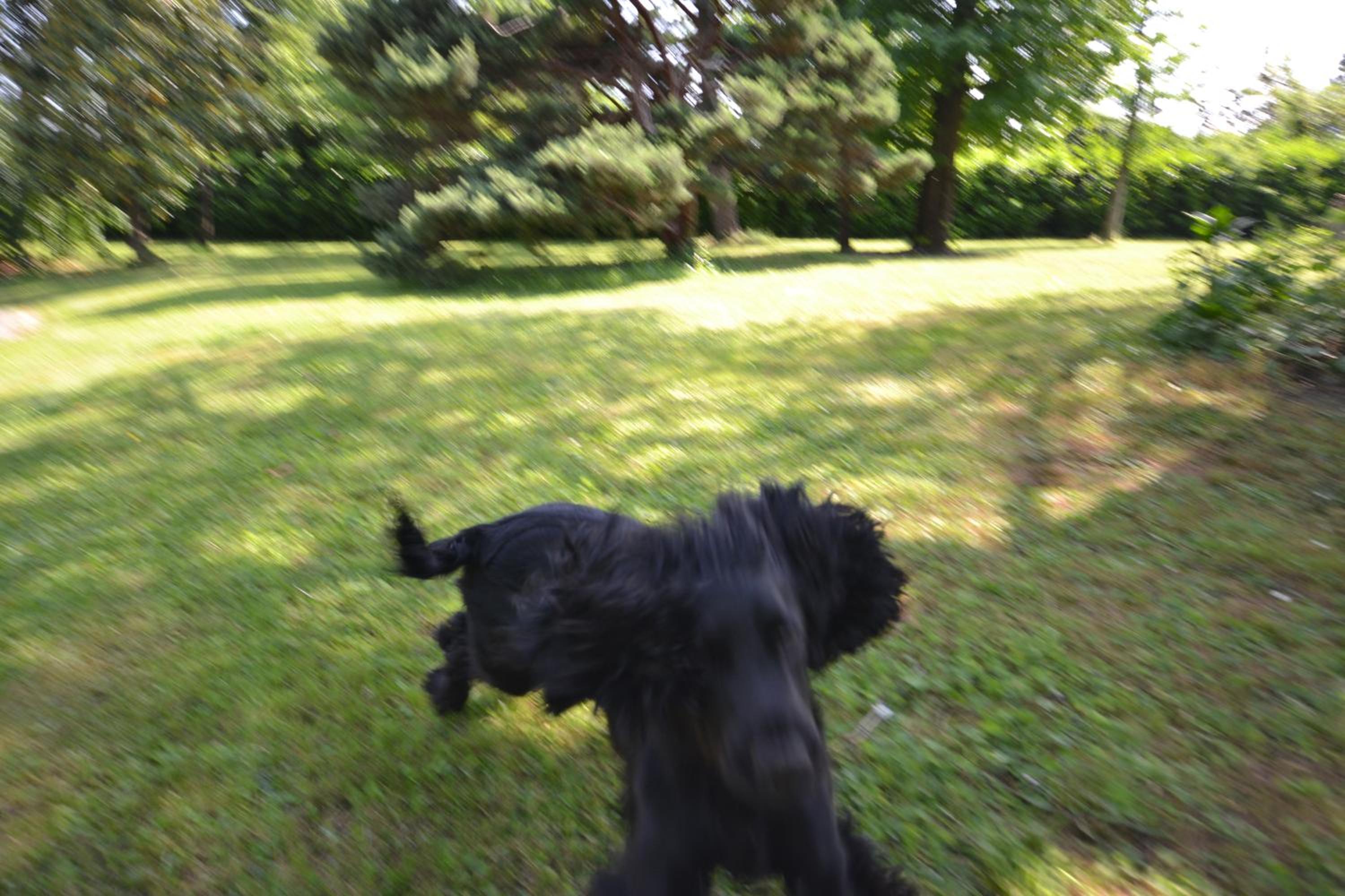 Photo 29