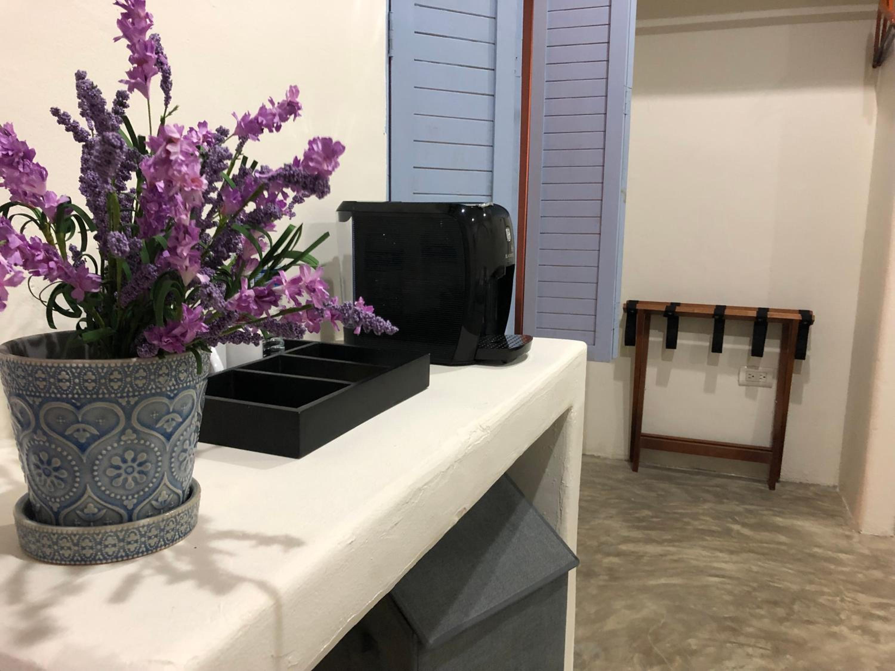 Hotel Villa Balu