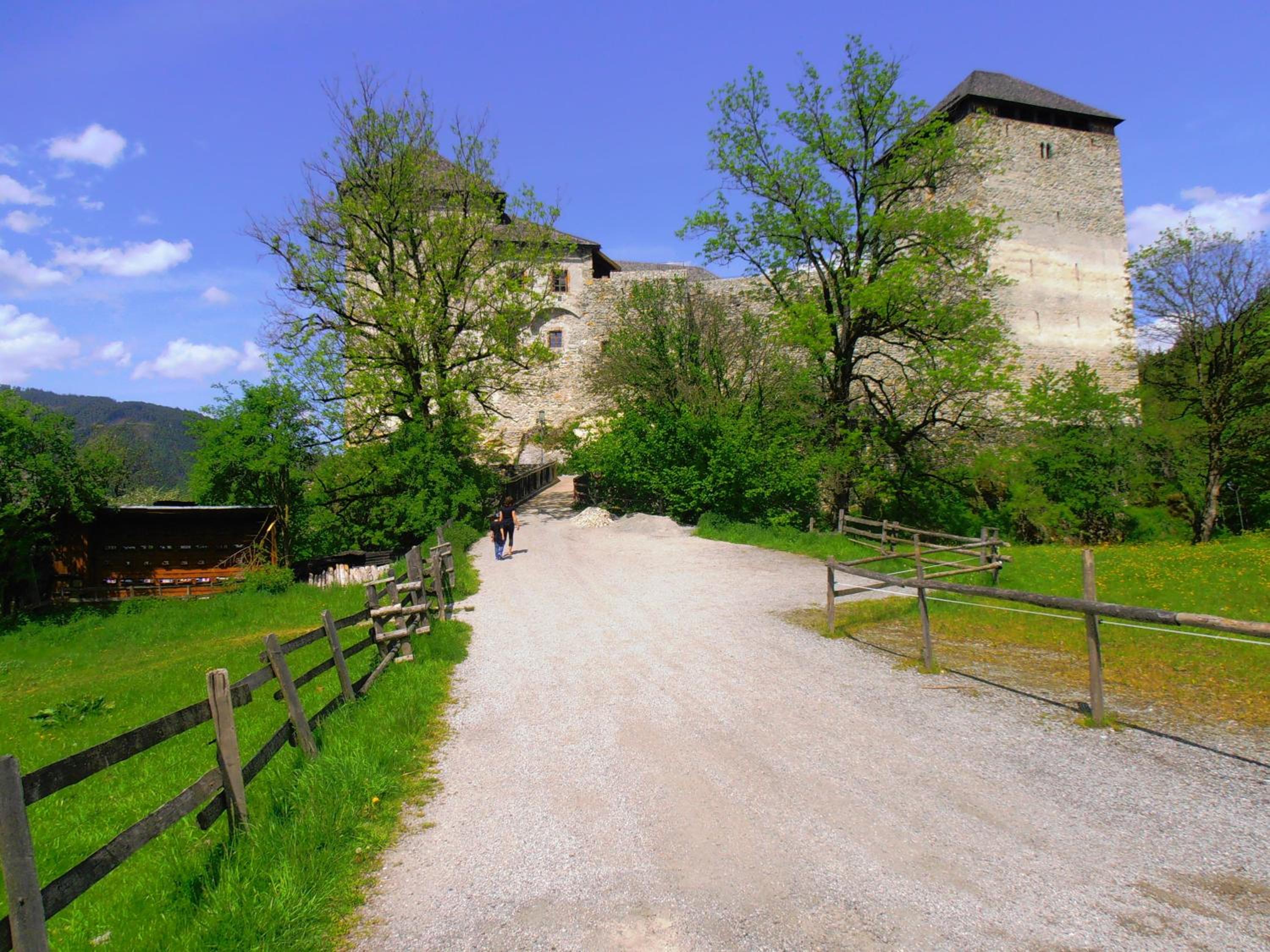 Photo 20