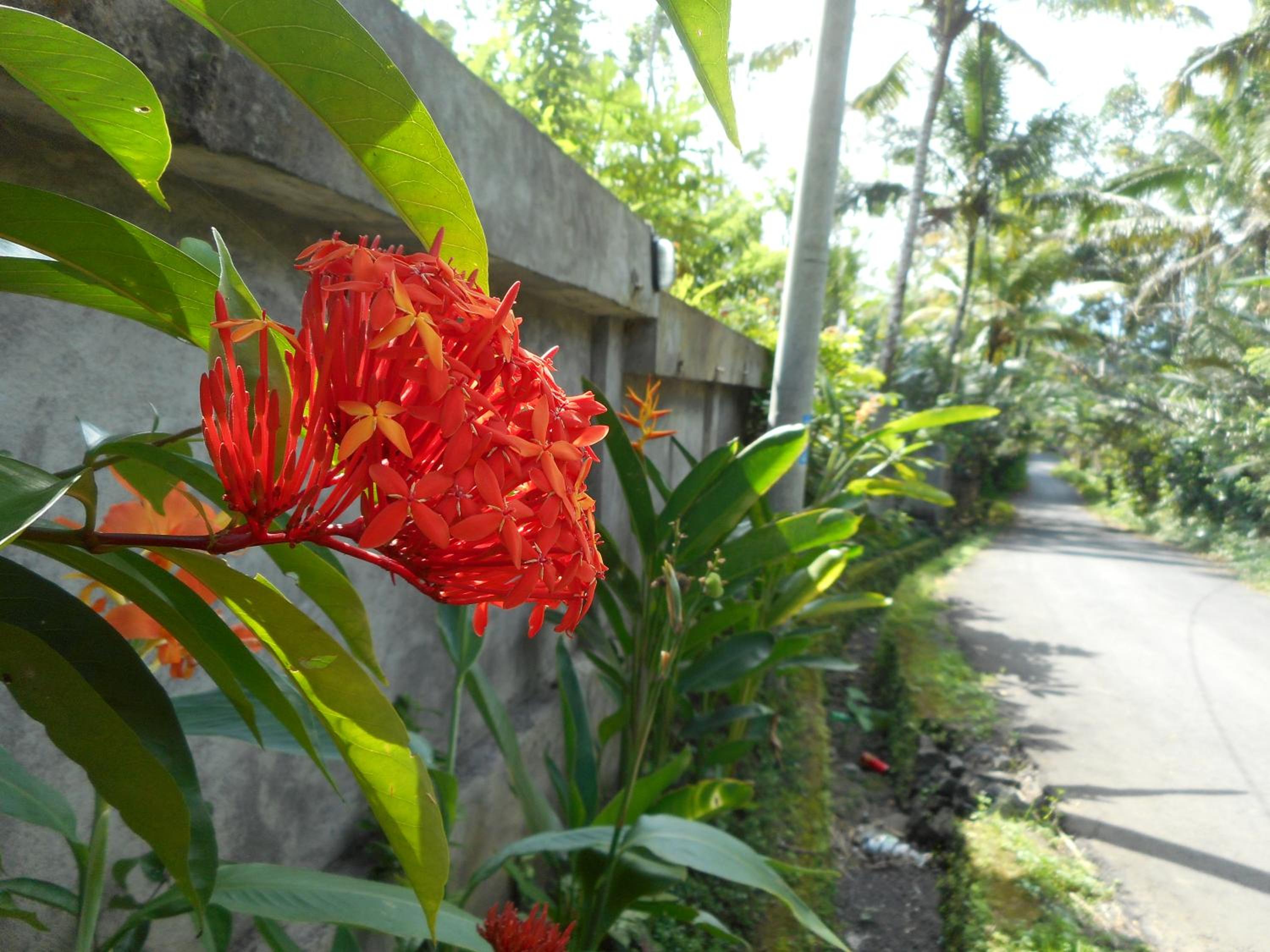 Photo 44
