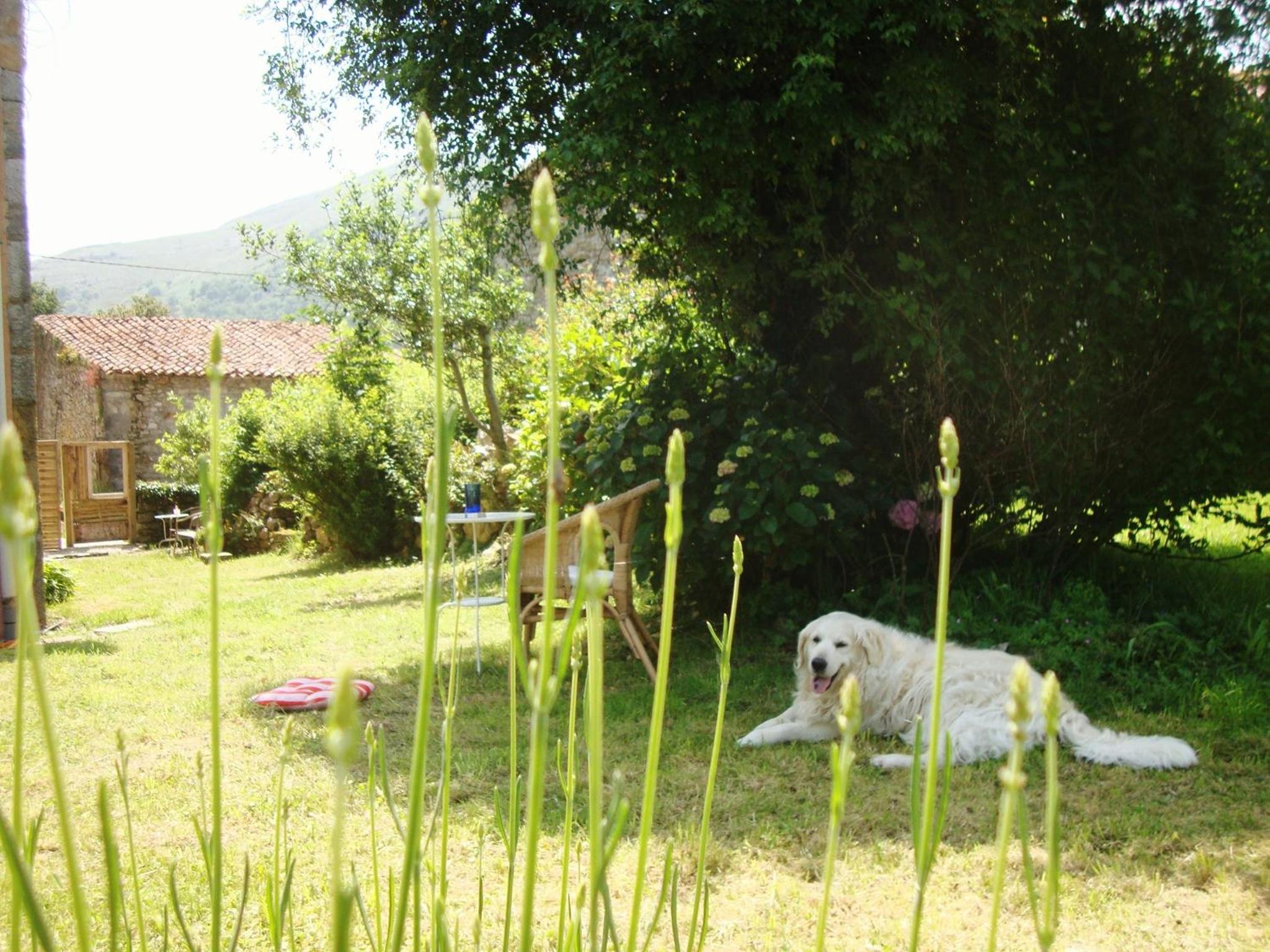 Photo 43