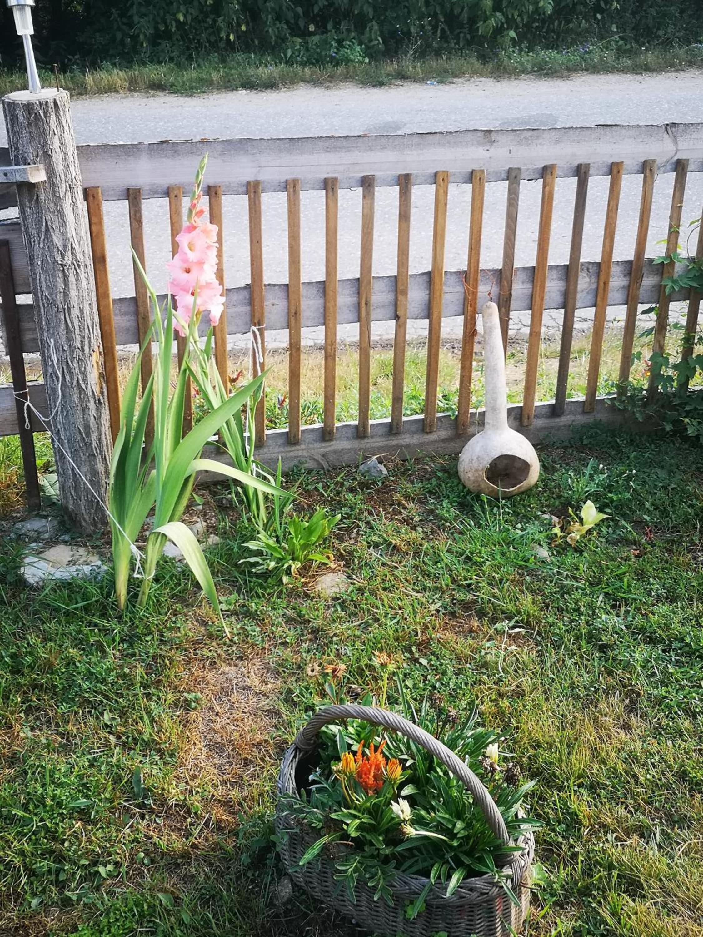 Photo 29