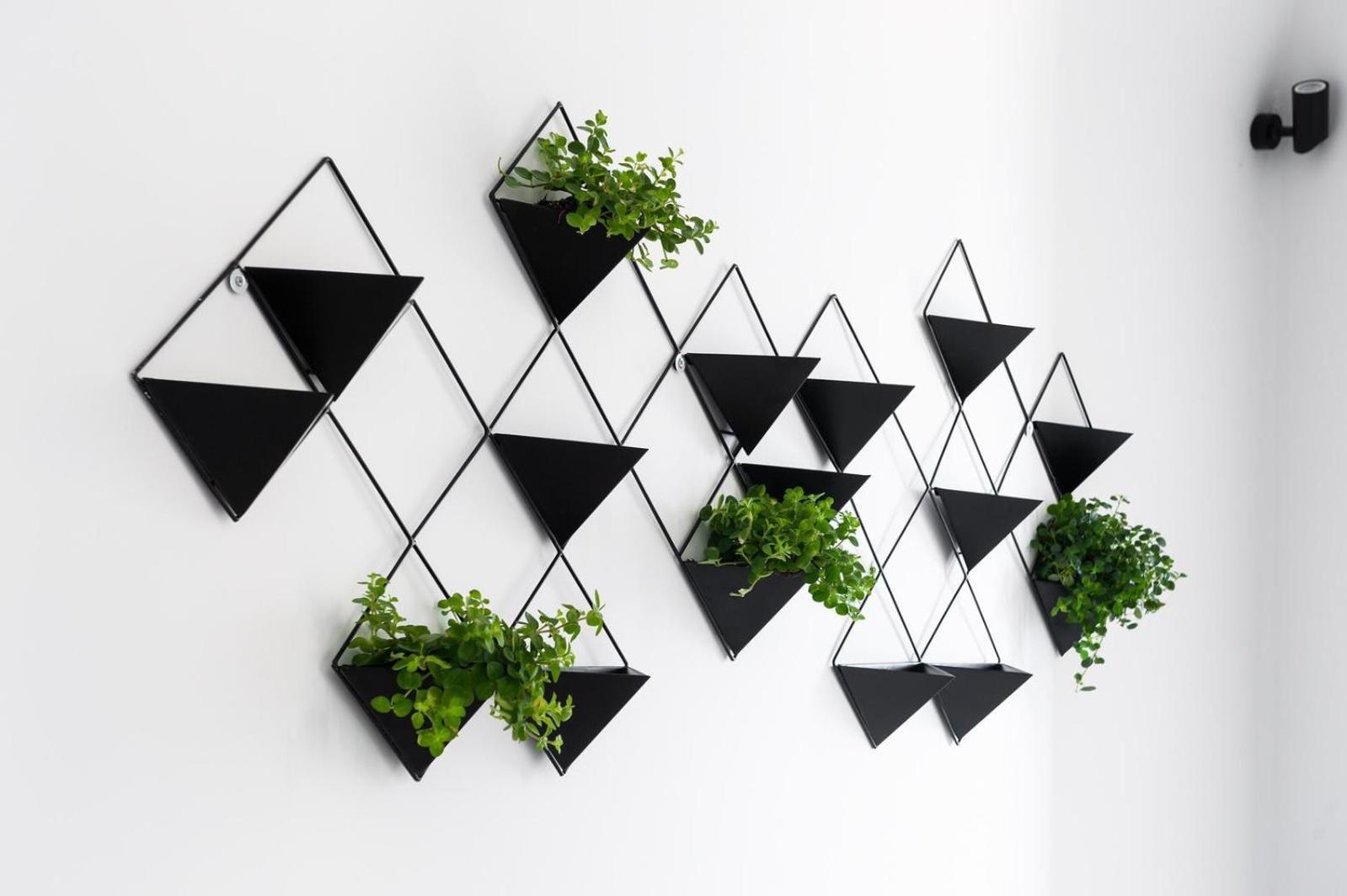 Casa Tusci by STARHOST photo 4