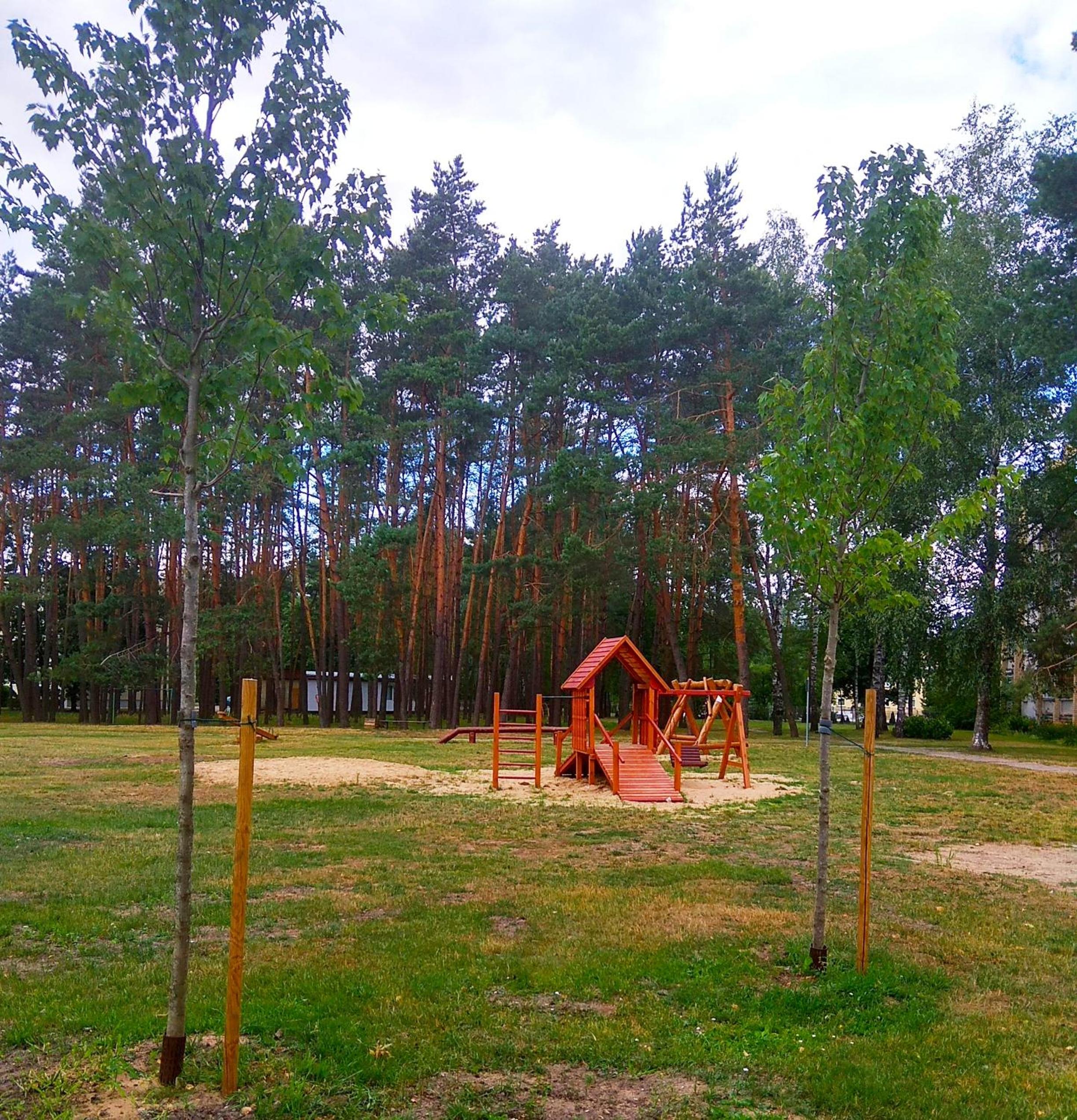 Photo 6