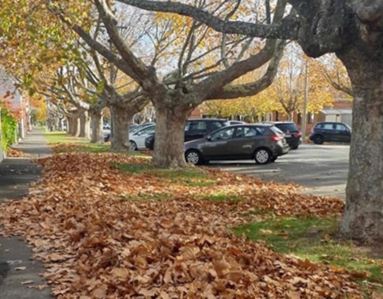 StayCentral - Brunswick Vibe Parkville