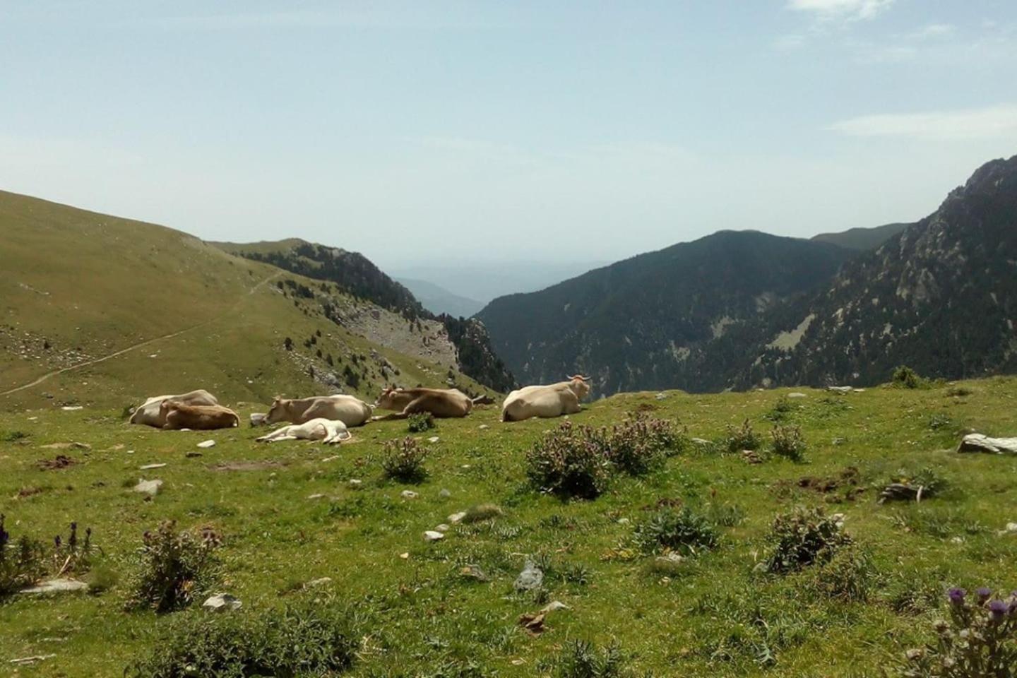 Photo 33
