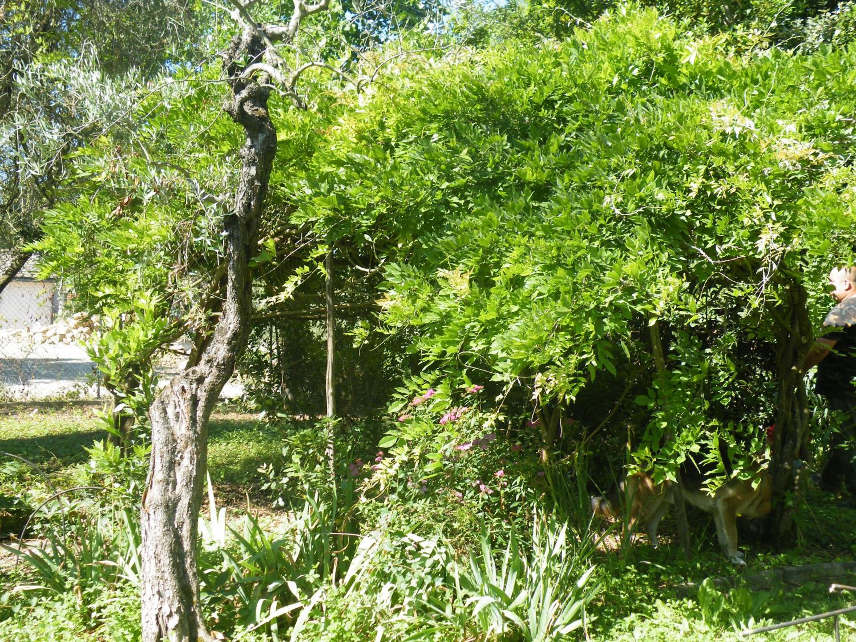 Photo 23
