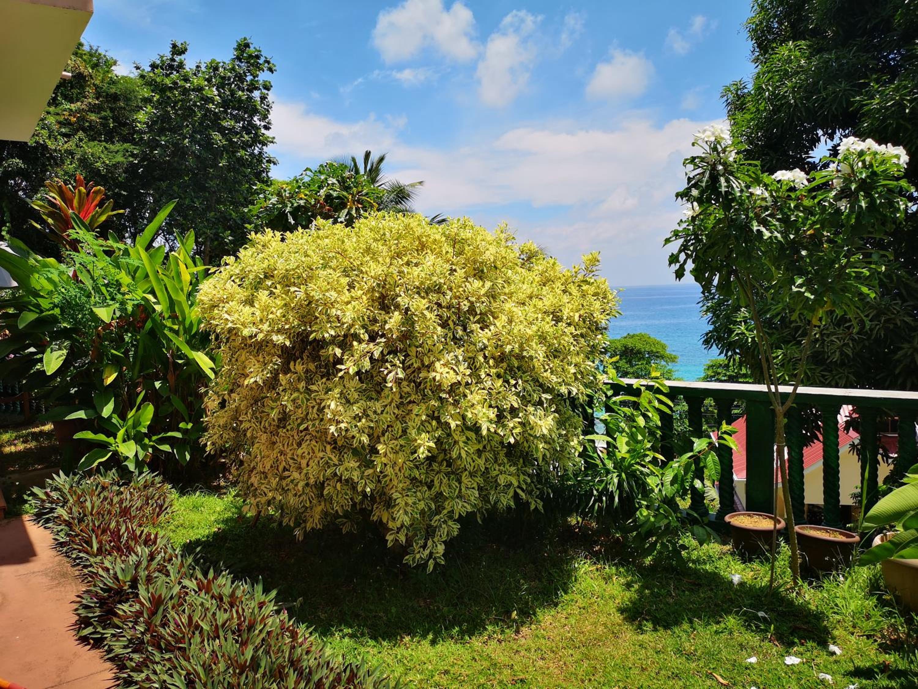 Photo 44