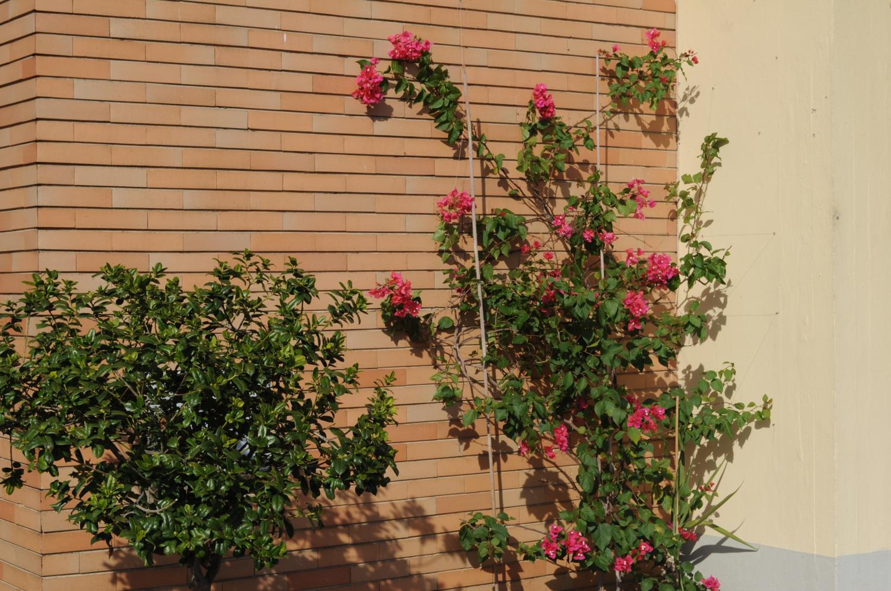 Marinetta Bed & Breakfast view 5
