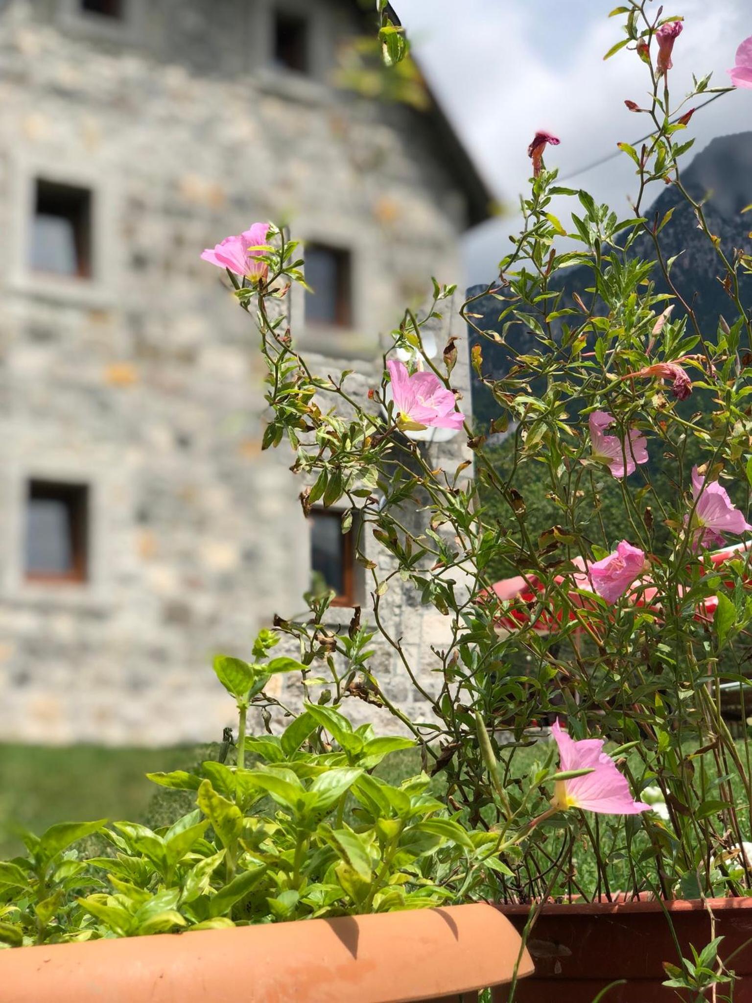 Molla Guest House