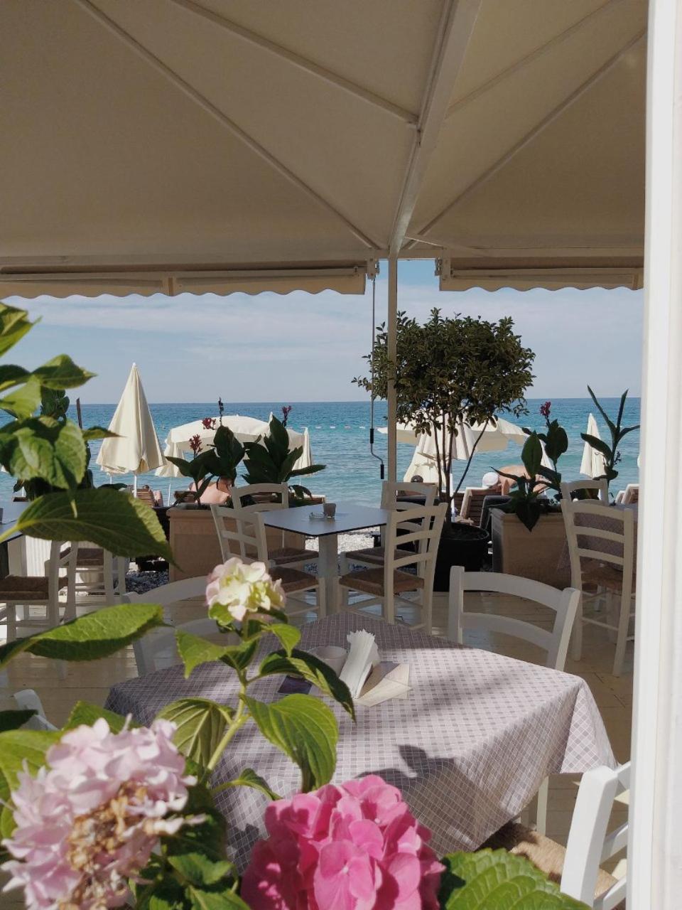 Apartments Kuce Lekovica Beach & snack bar- Bistro