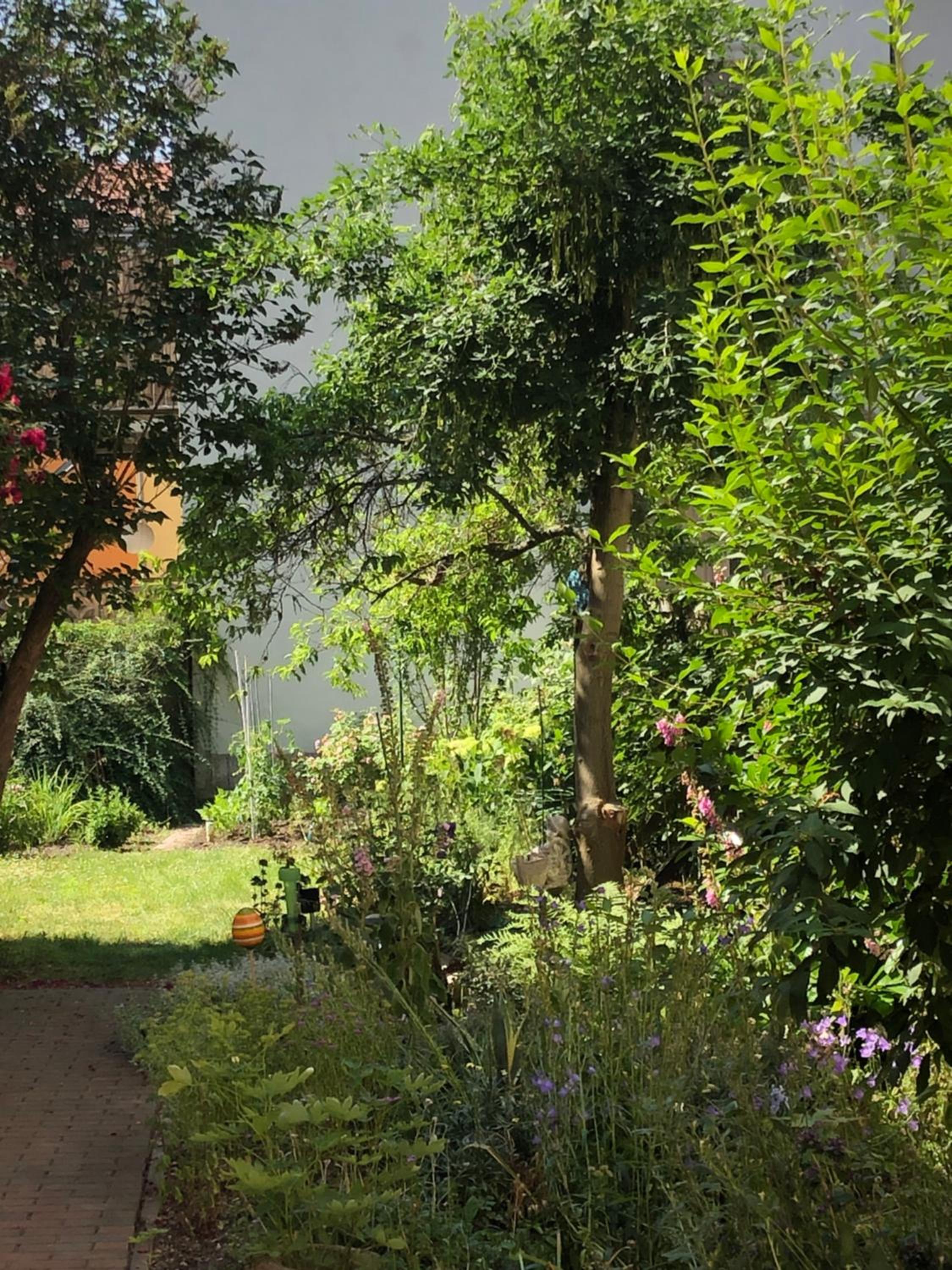 Photo 6