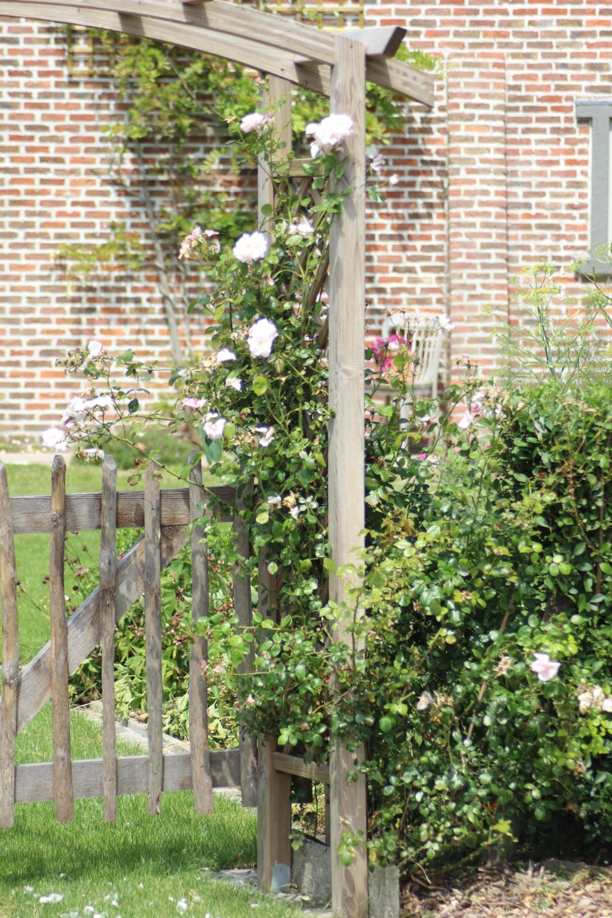 't Ligt ter Velde, oase van rust, sauna, directie Brugge