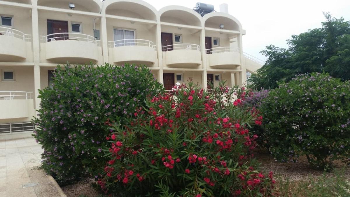Nostalgia apts