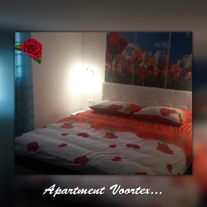 Apartment Voortex view 3