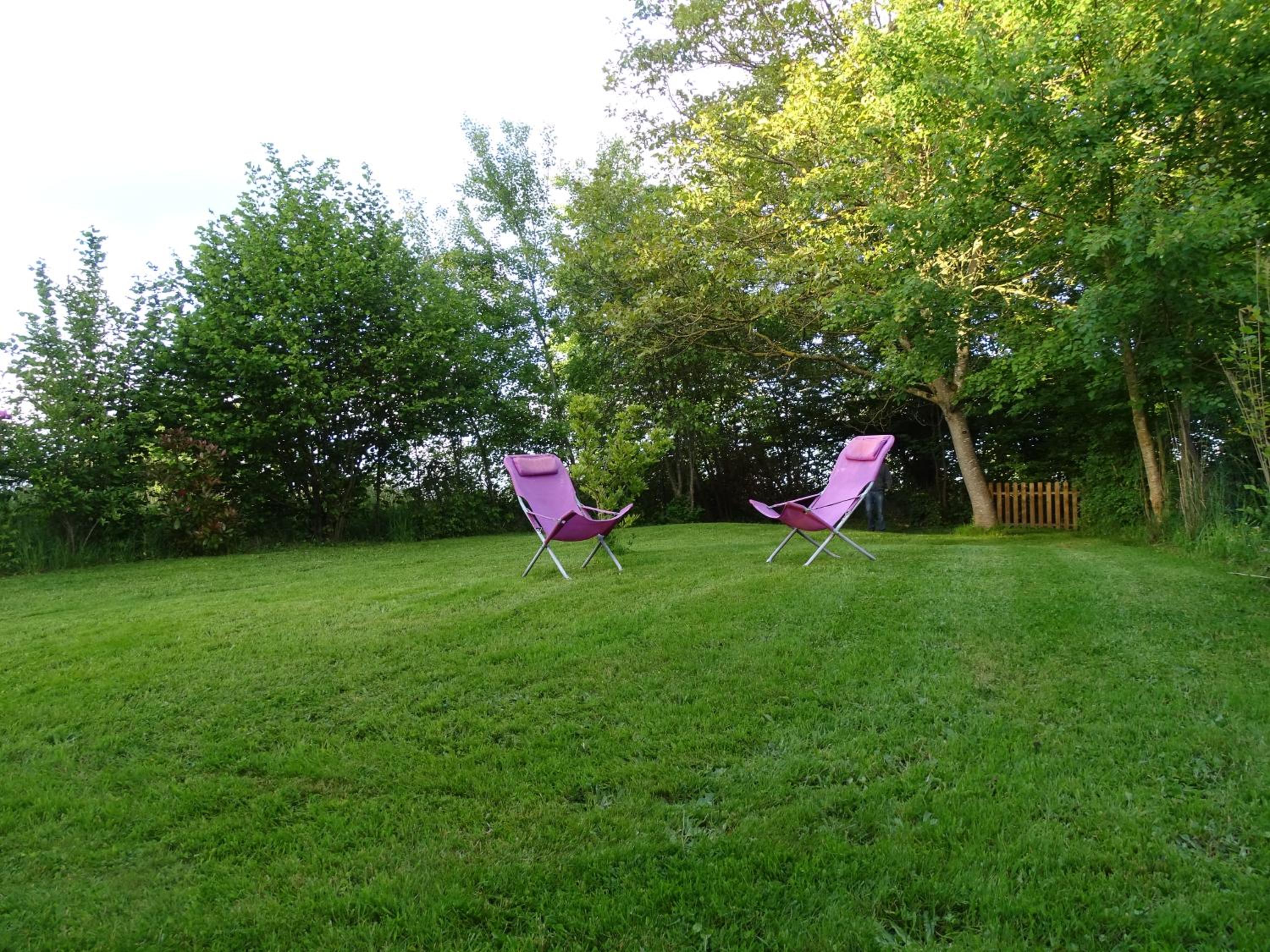Photo 31