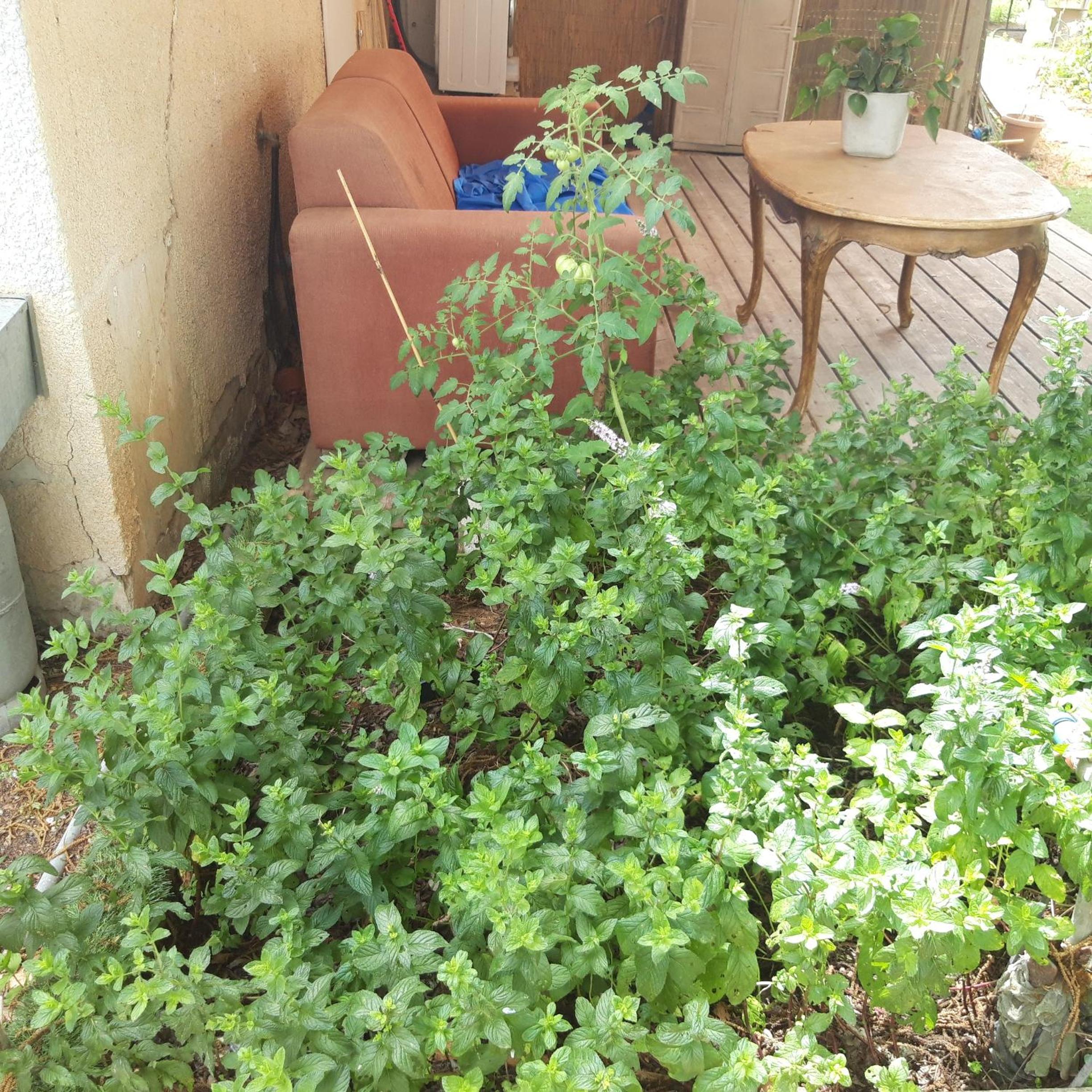 Photo 14