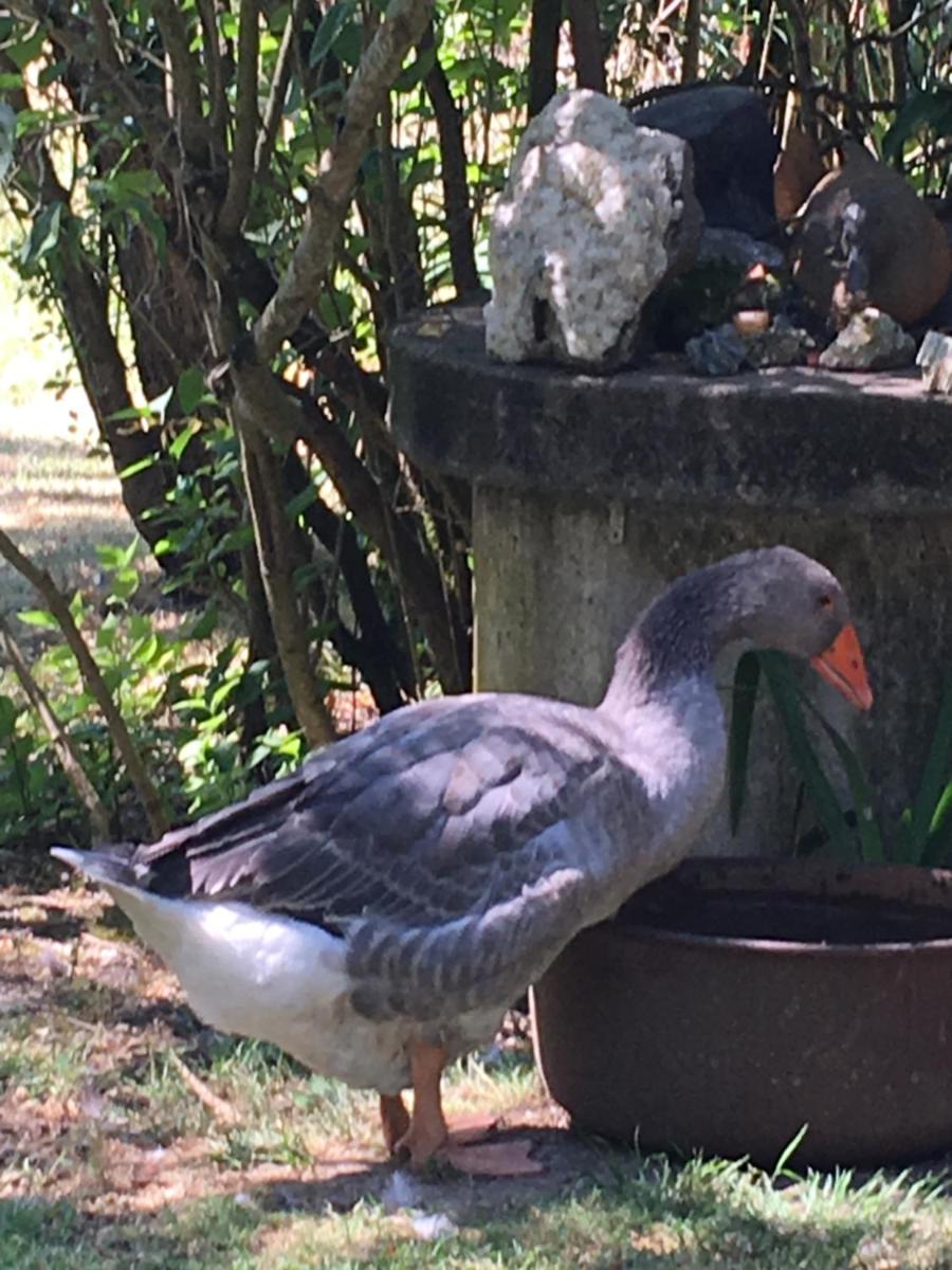 Zen au Marais Hammam Massages view 4