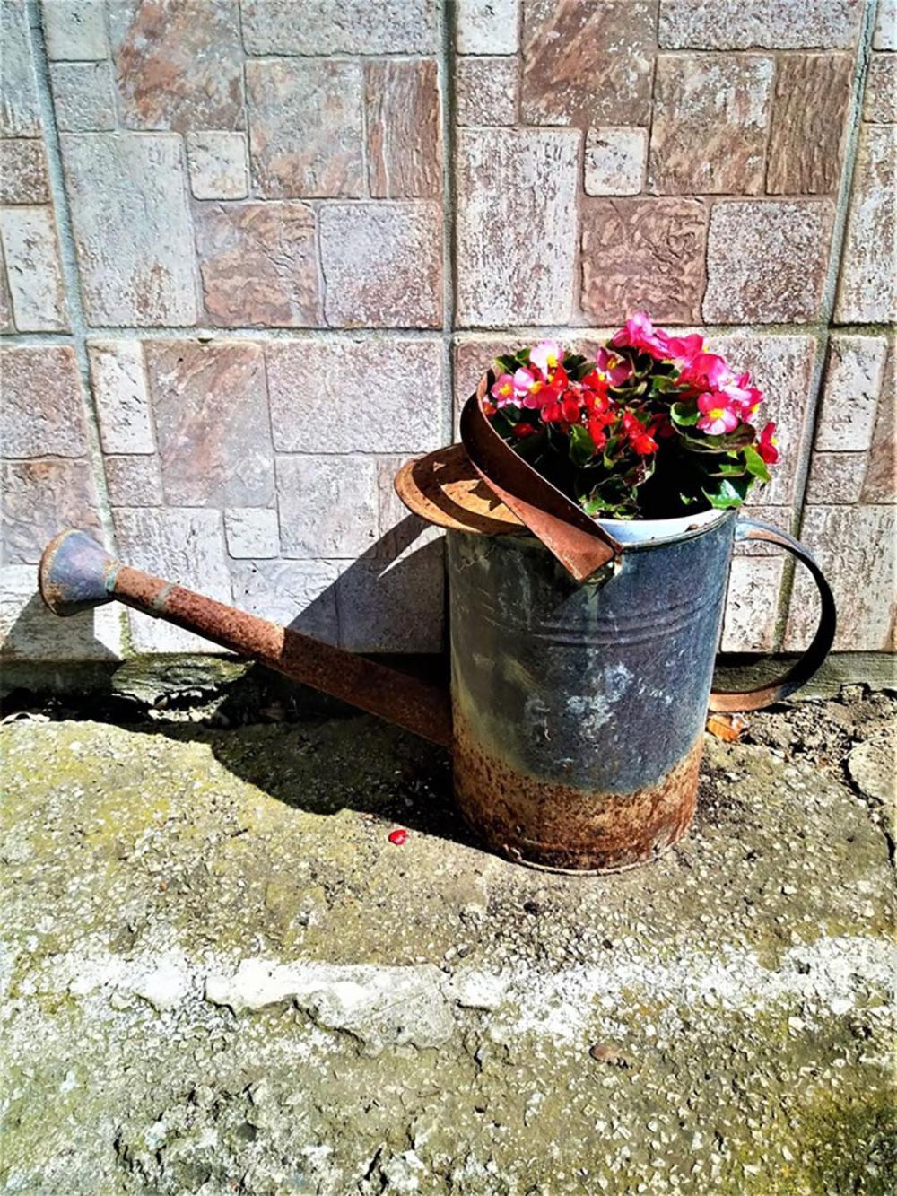 Haus Taekema Appartments