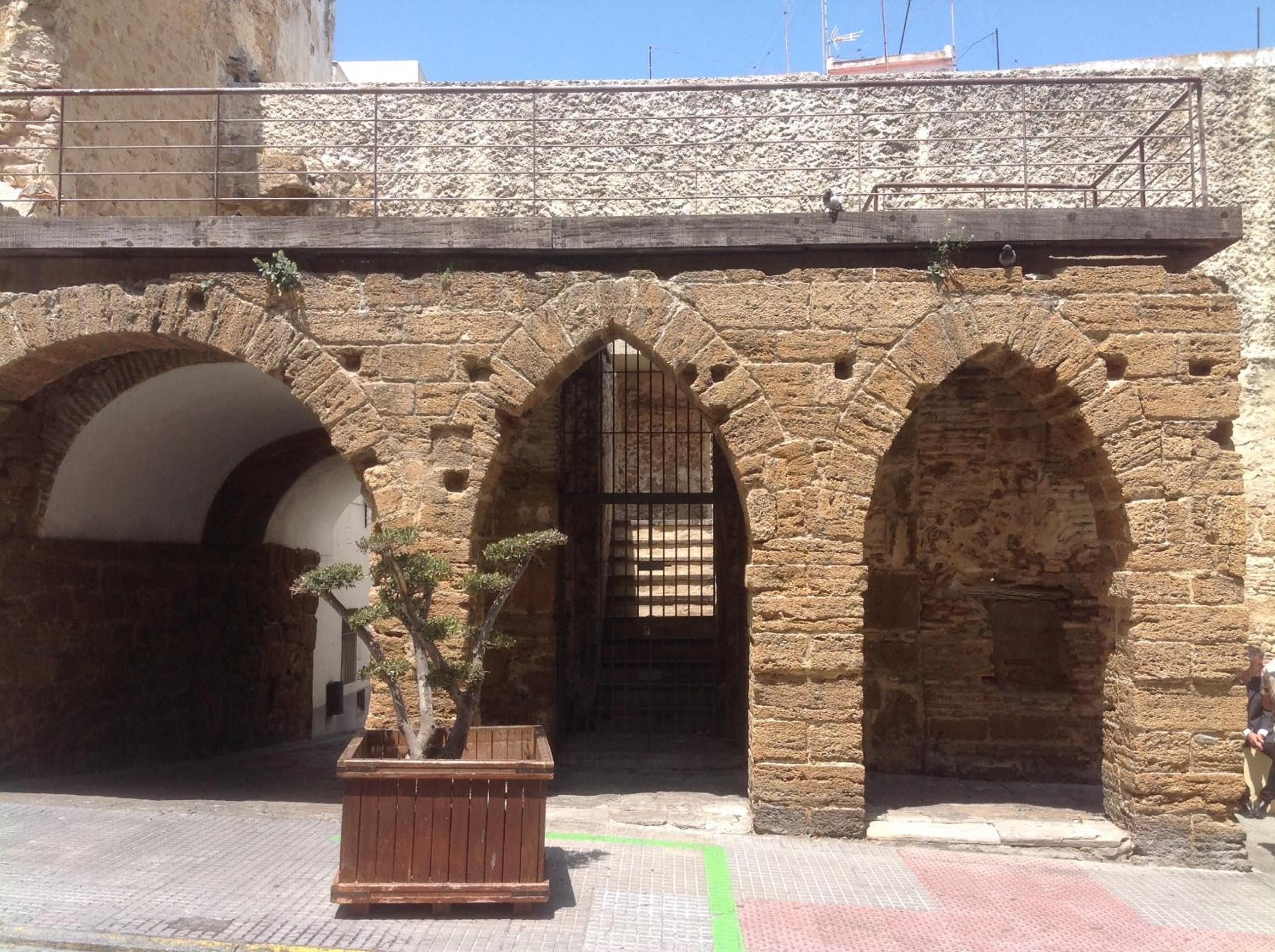Photo 7