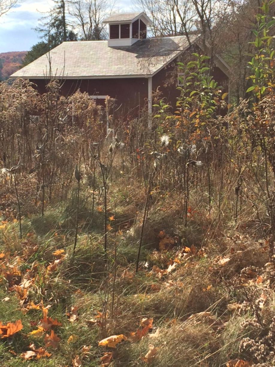 Rutland Vacations - Antique Mansion B  B - Property Image 34