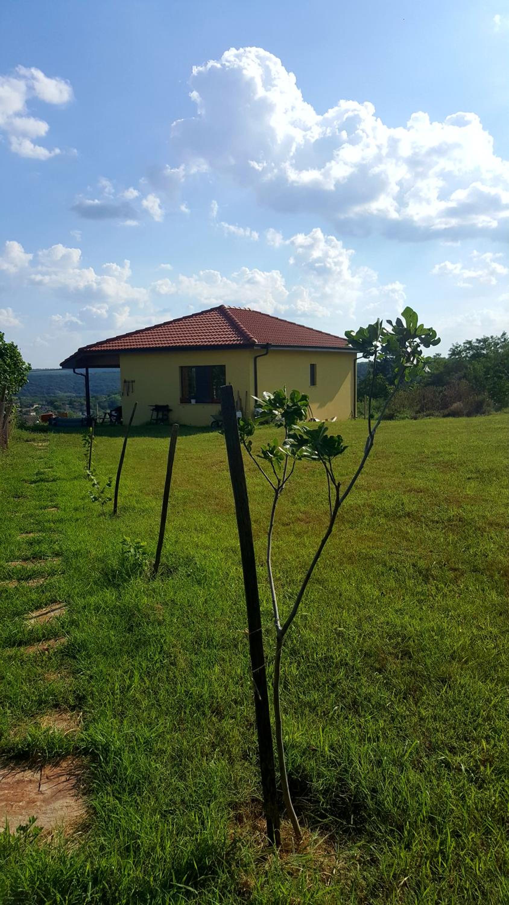 Malavi Guest House Krasen! Comfort&clean!