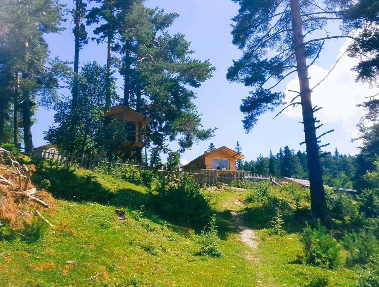 Heshkili huts and cabins Svaneti
