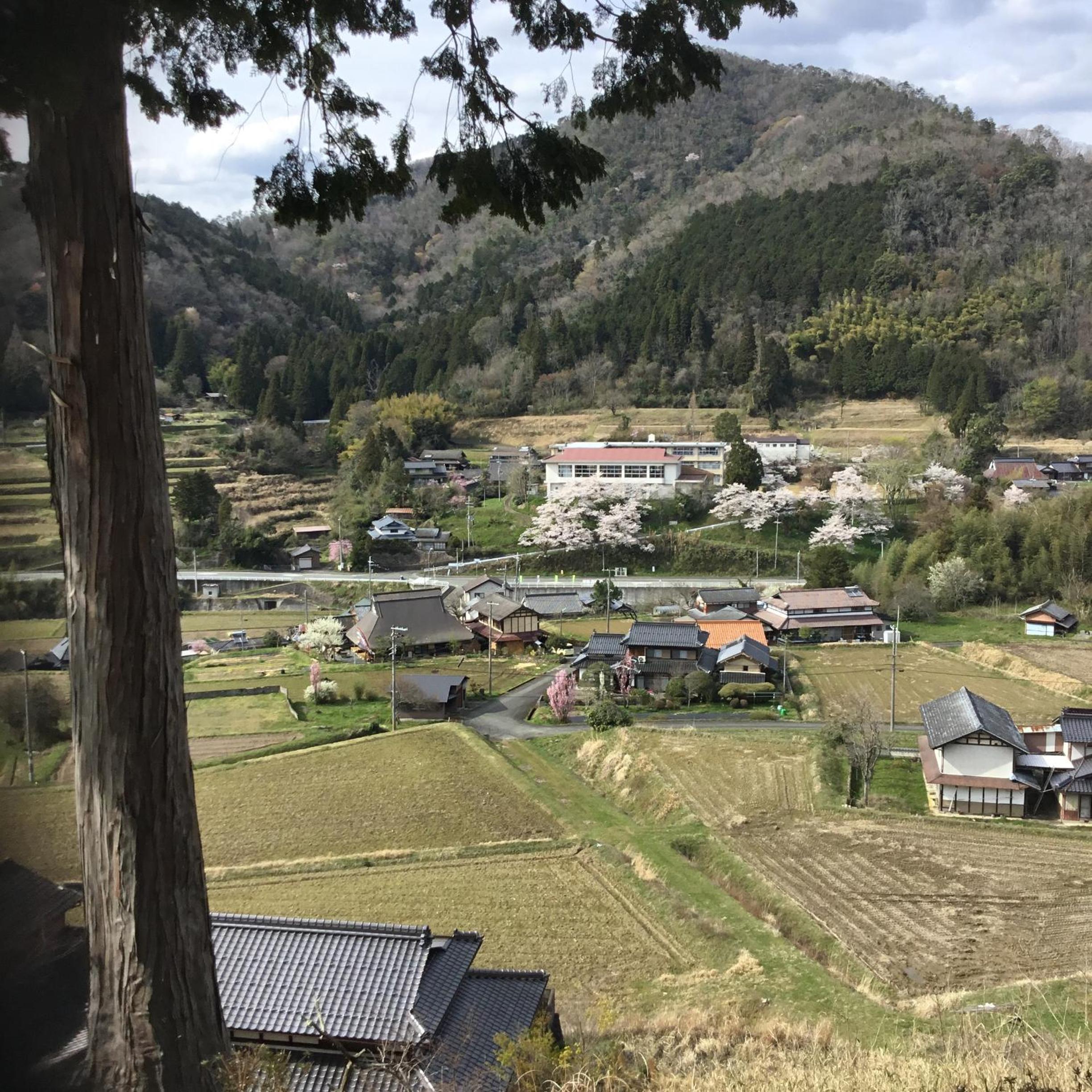 Photo 19