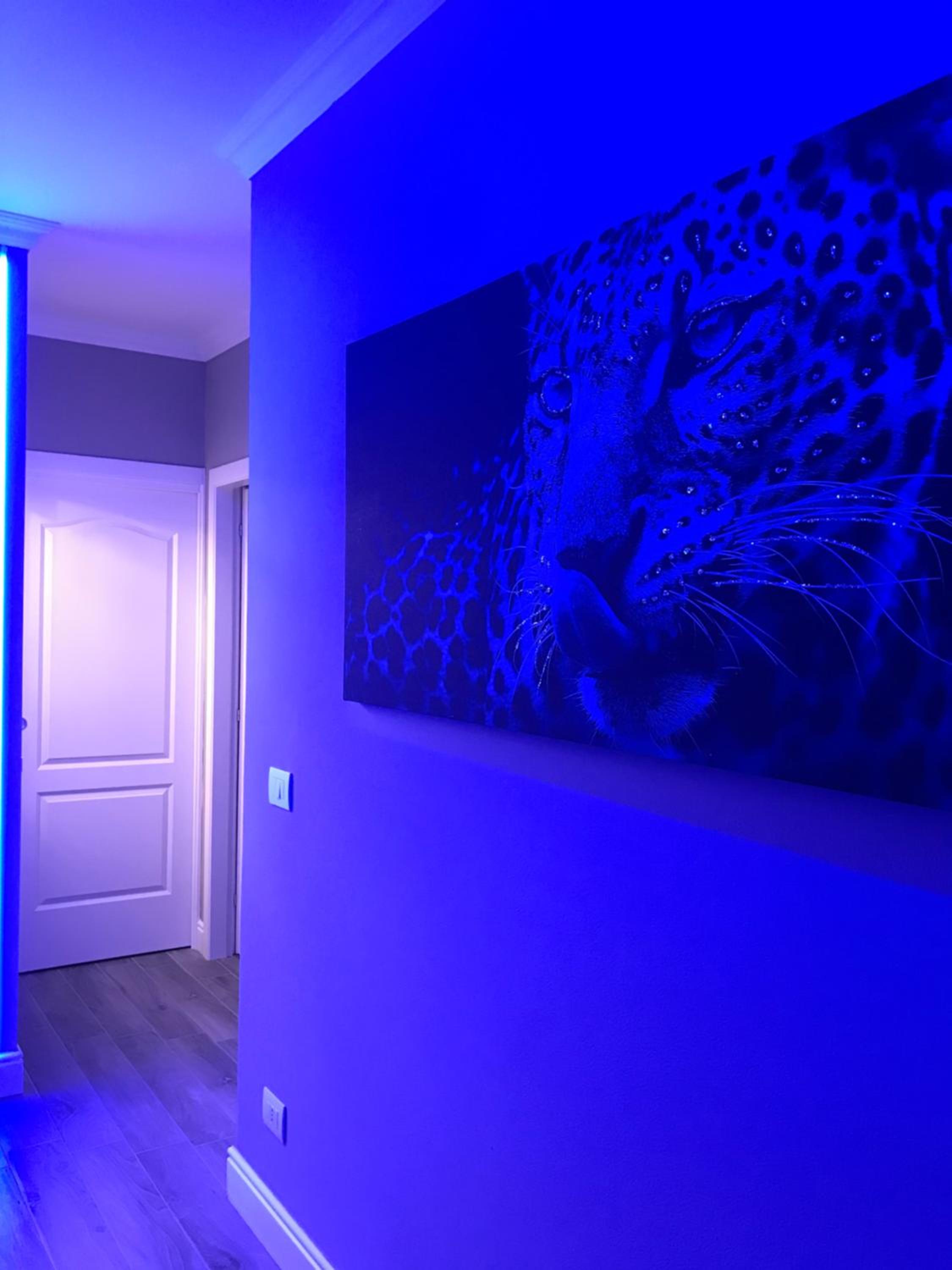Luxury Suite view 5