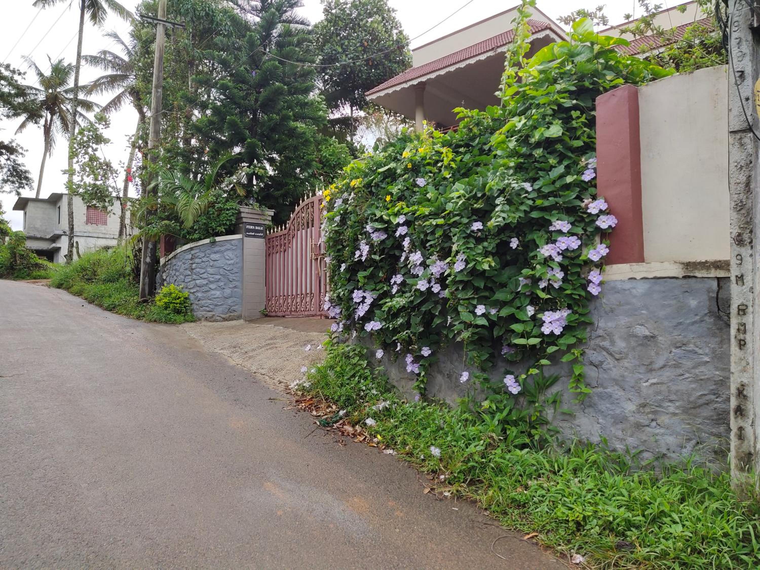 Ferndale Homestay view 2