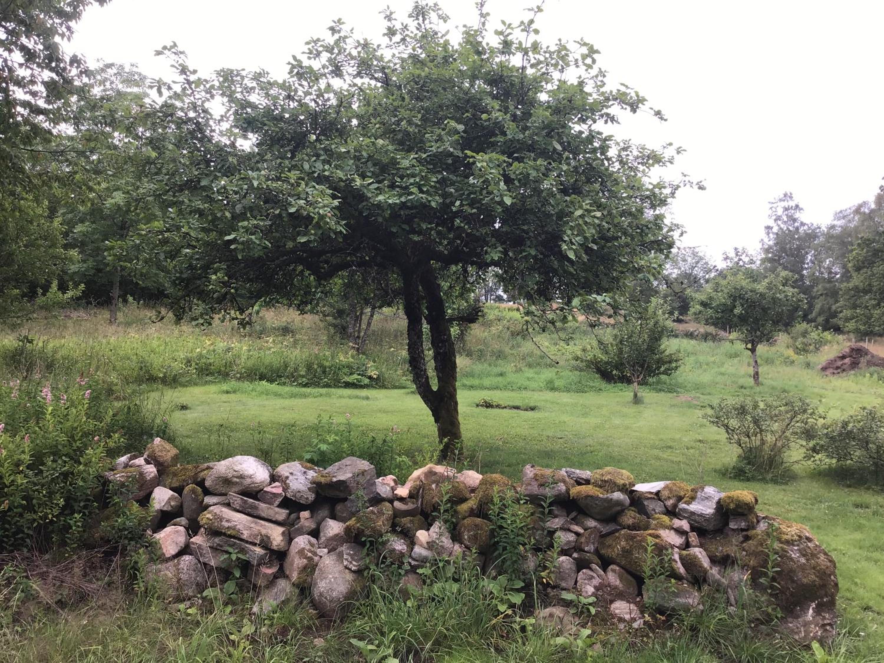 Photo 28
