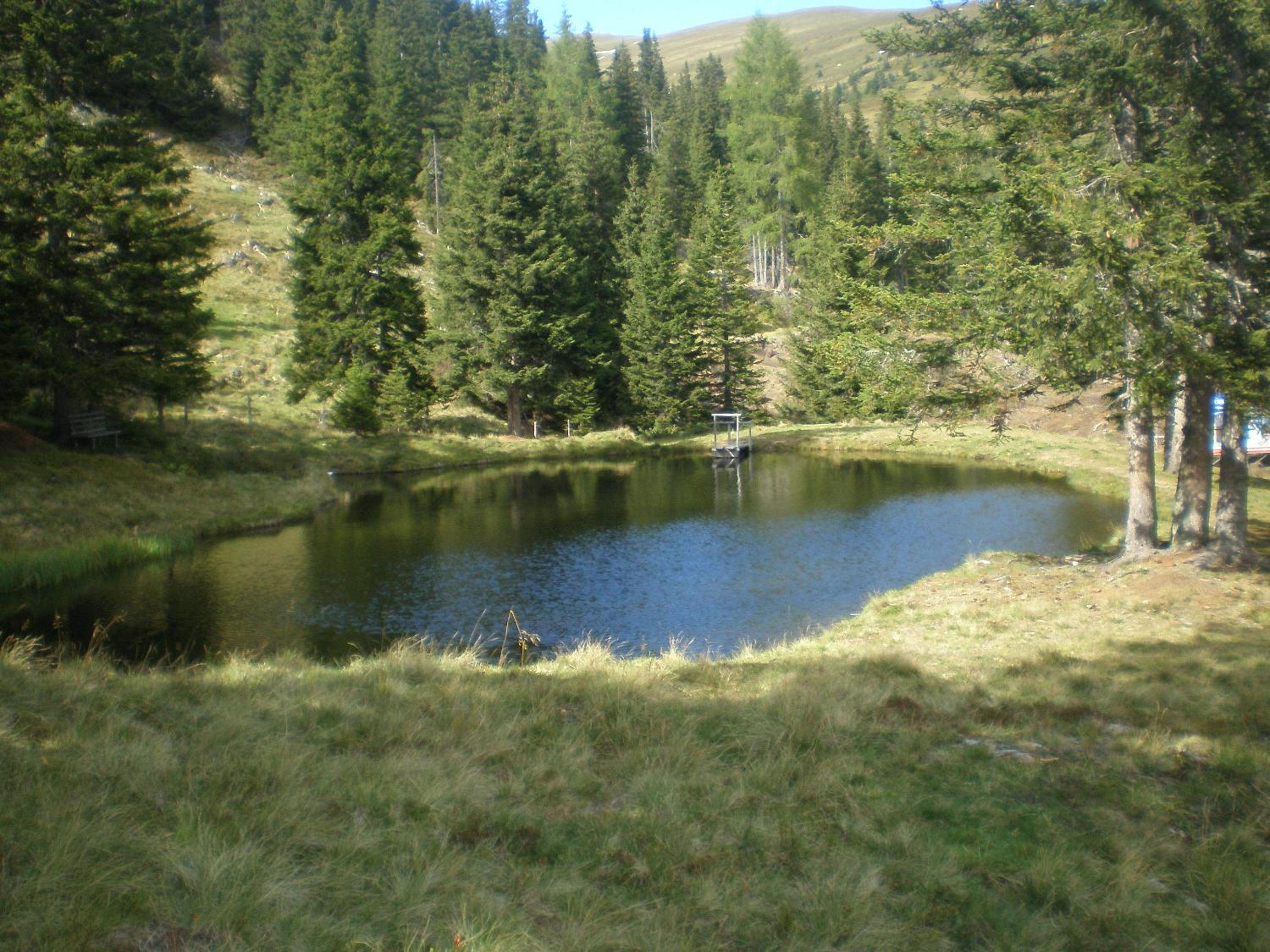 Photo 36