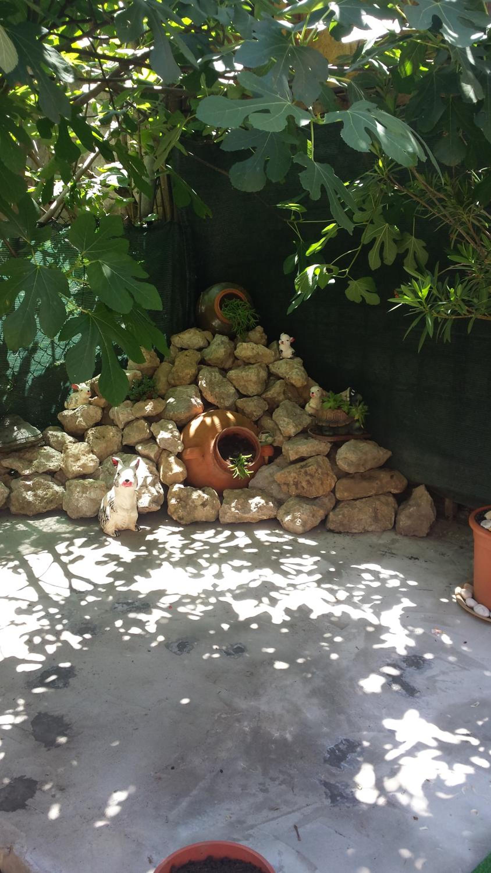 Photo 6