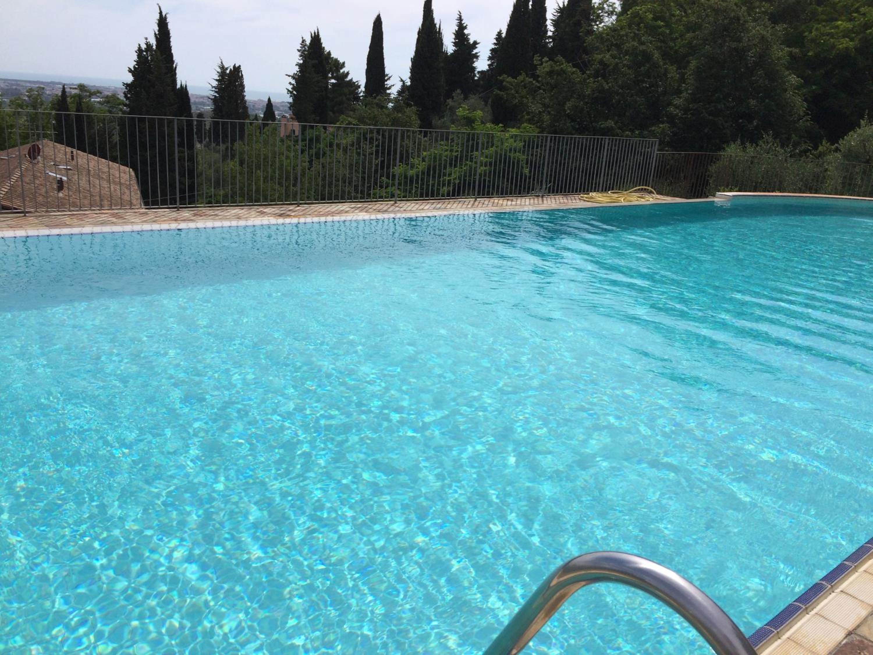 Lady Frantoio Toscano view 2
